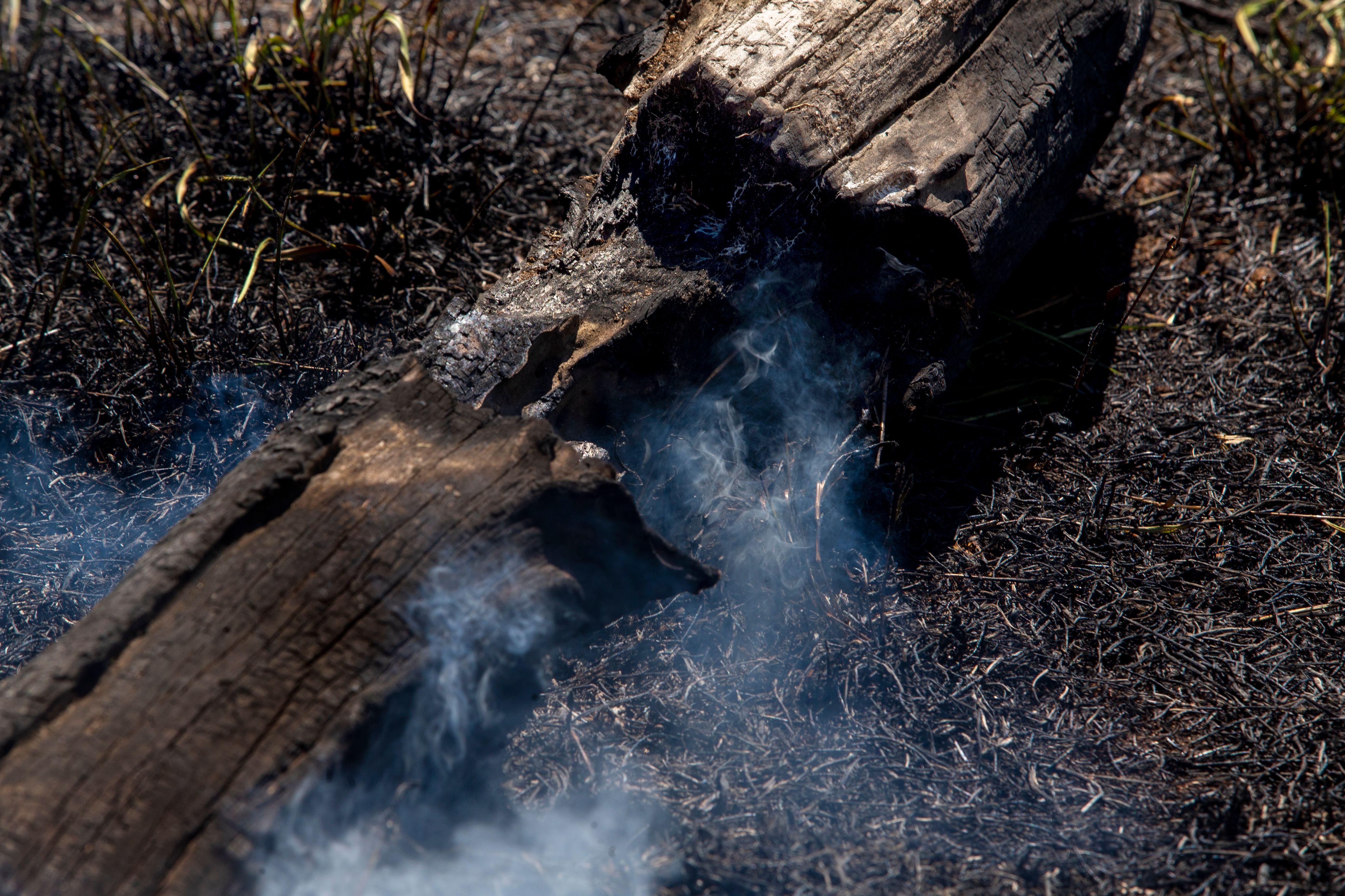 Smoke rises from a trunk in a farm at Pocone village. Image by Antonio Scorza / Shutterstock. Brazil, 2020.