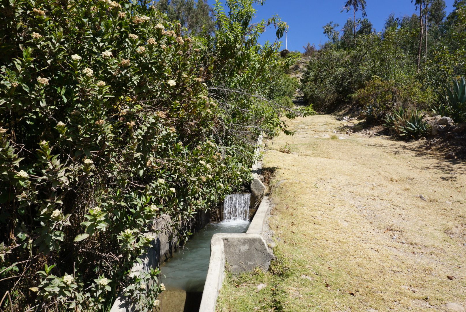 One of the canals that delivers water to nearby communities. Water is intended to flow to the top of the cement walls. Image by Audrey Fromson. Peru, 2019.