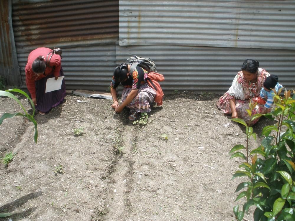 Women of Chuicavioc tend to a small vegetable garden. Image by Roger Thurow. Guatemala, 2013.