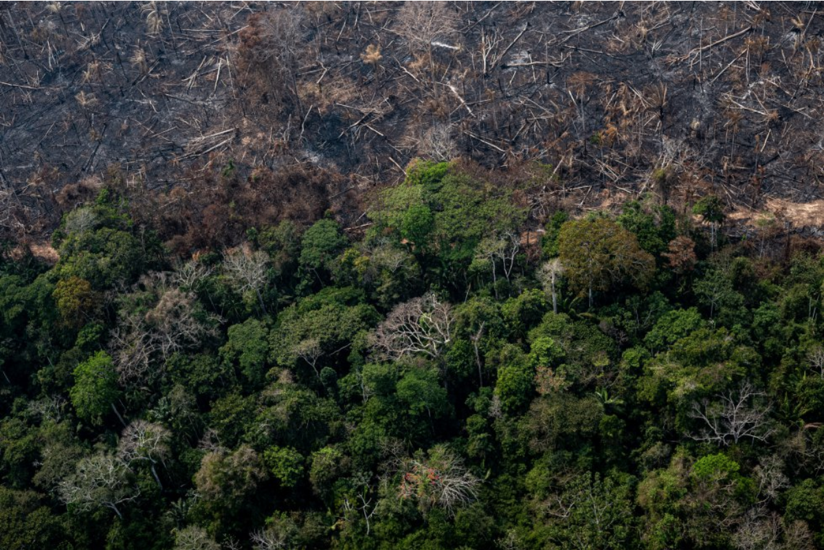 In the state of Amazonas, bordering Acre, fire also consumed part of the Antimary State Forest Project area, the first state-run public forest in operation, where sustainable management activities take place. The light rain that occurred last week in Acre helped prevent more natural forest from being consumed by fire. Image by Marcio Pimenta. Brazil, 2019.