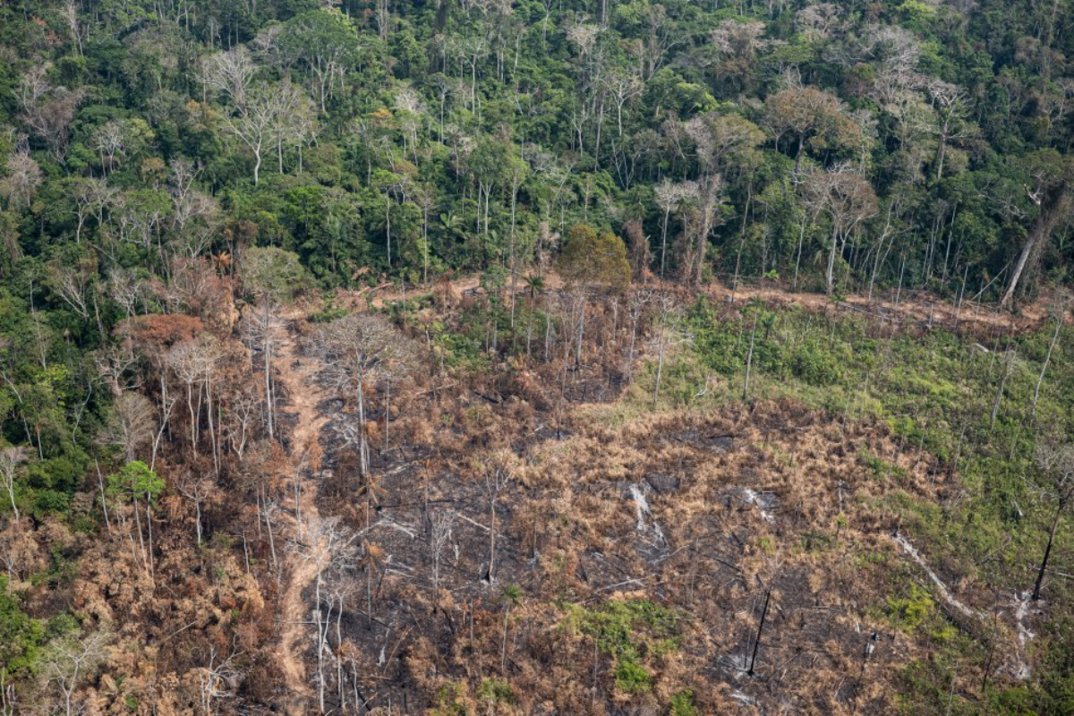 Area in Acre where there has been deforestation and burning. A survey of the InfoAmazonia website, based on public data, indicates that among the ten municipalities with the most fires in the country, seven are among those that also suffered most from previous deforestation. Image by Marcio Pimenta. Brazil, 2019.