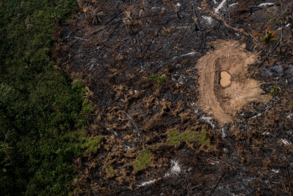 Another area devastated by the fires of recent weeks in Acre. Image by Marcio Pimenta. Brazil, 2019.