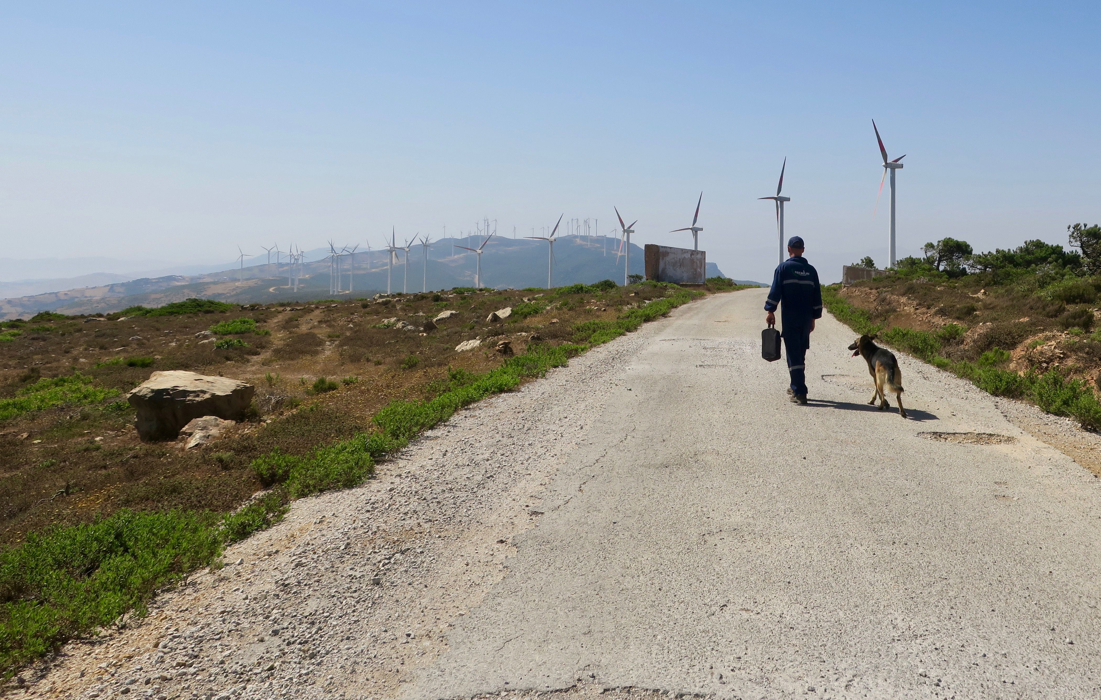 A security guard patrols the Dhar Saadane wind farm with his dog. The farm has 126 turbines, which line the mountains above Tangier, Morocco. Wind power from farms in Tangier provide 2.5 percent of the country’s electrical energy. Image by Jackie Spinner. Morocco, 2017.