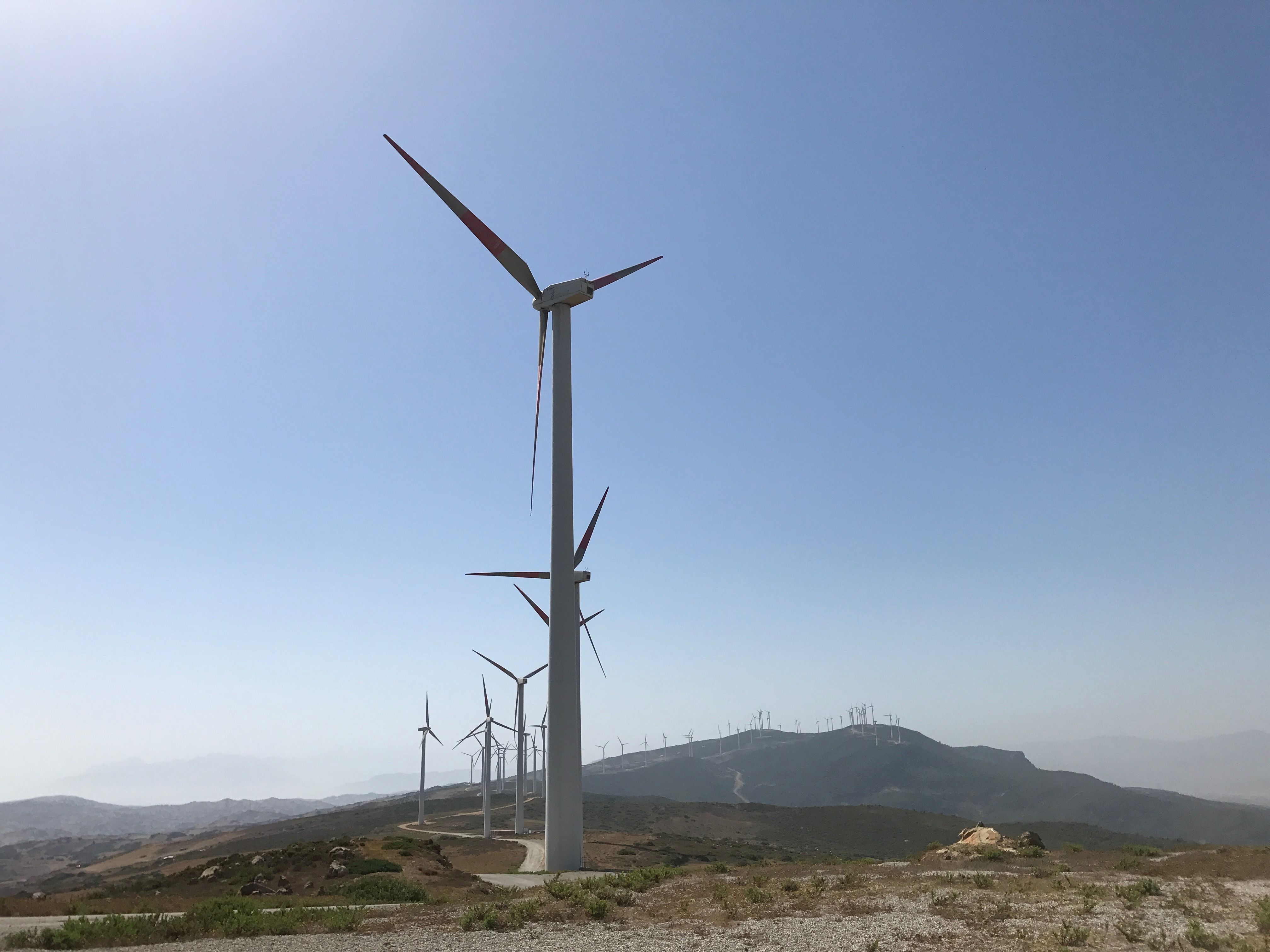 tangier wind farm