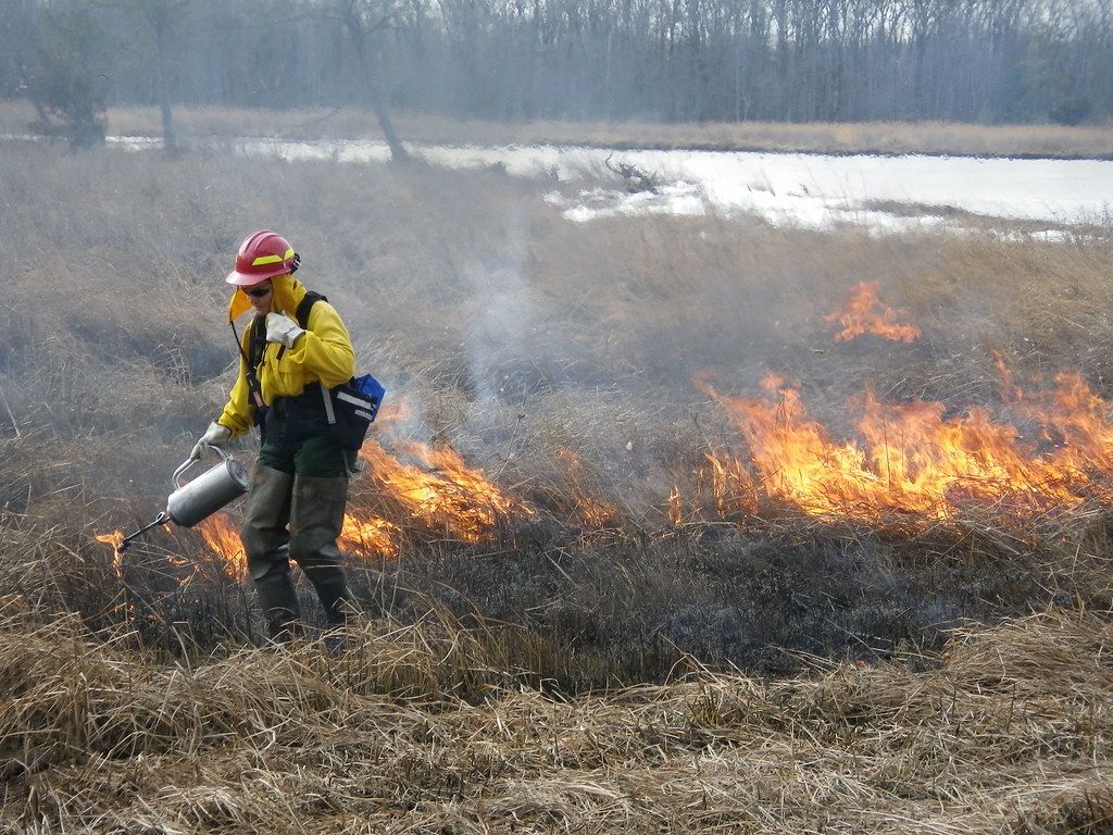  Fire biologist lights controlled burn. Image by Colby Hawkinson. United States, 2011.