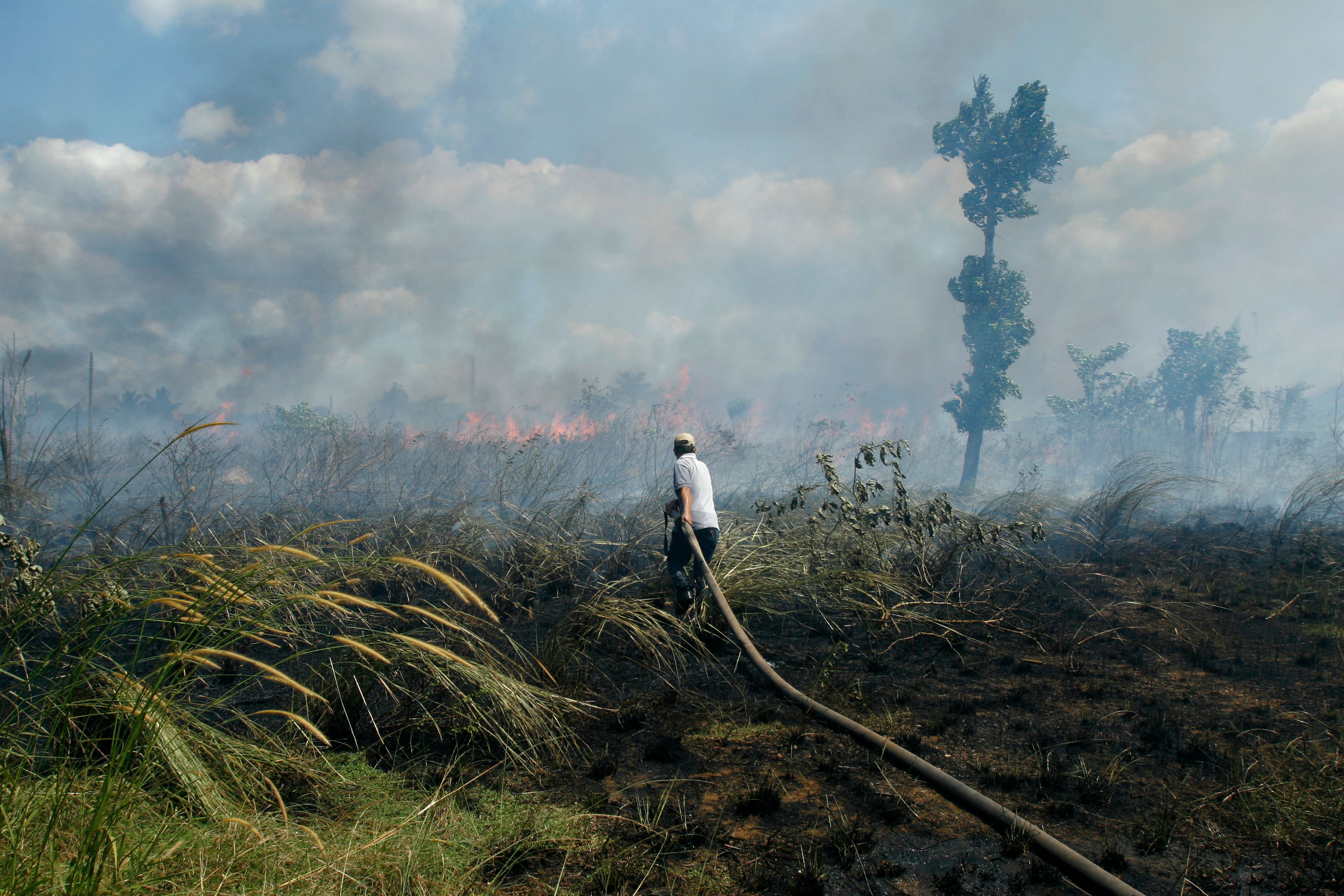 Firefighters are near smoke from forest fires in dry tropical forests, South Kalimantan, Borneo, Indonesia. Image by donny sophandi/Shutterstock. Indonesia, undated.