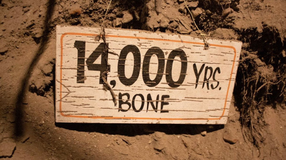 Sign inside permafrost tunnel near Fairbanks, Alaska dates a bone in the wall. Image by Amy Martin. United States, 2019.