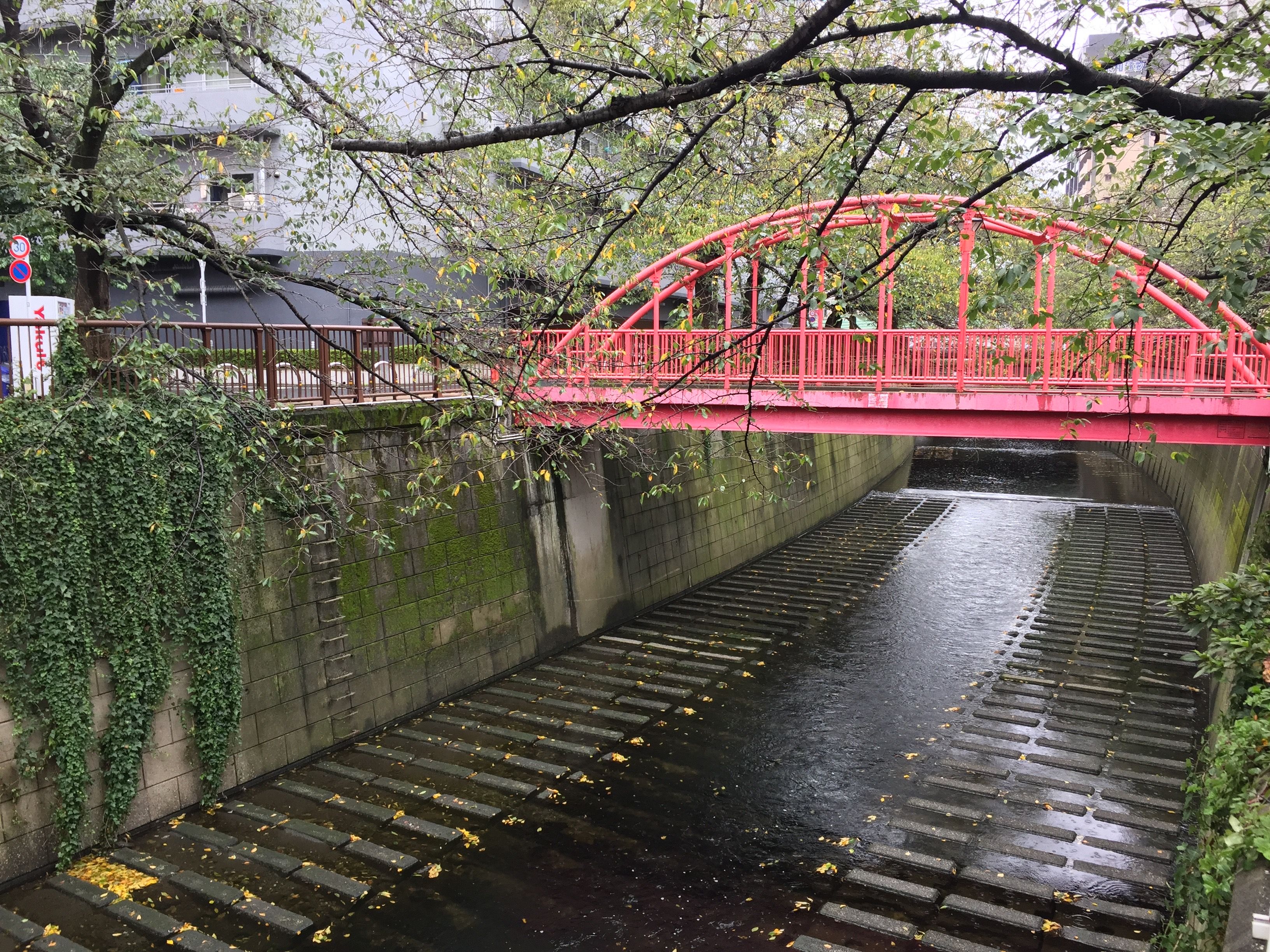 A complicated relationship with climate change and nature in Japan. A bridge over a channelized river in Naka-Meguro, Tokyo. Image by Daniel Merino. Japan, 2019.
