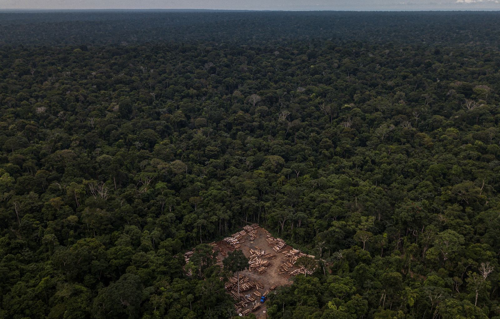 A clearing in the lower Tapajós, in Pará, serves to store wood seized by agents from Ibama. This year, 54% of hot spots in the Amazon were recorded in deforested areas, according to NASA data. Image by Flavio Forner. Brazil, 2020.