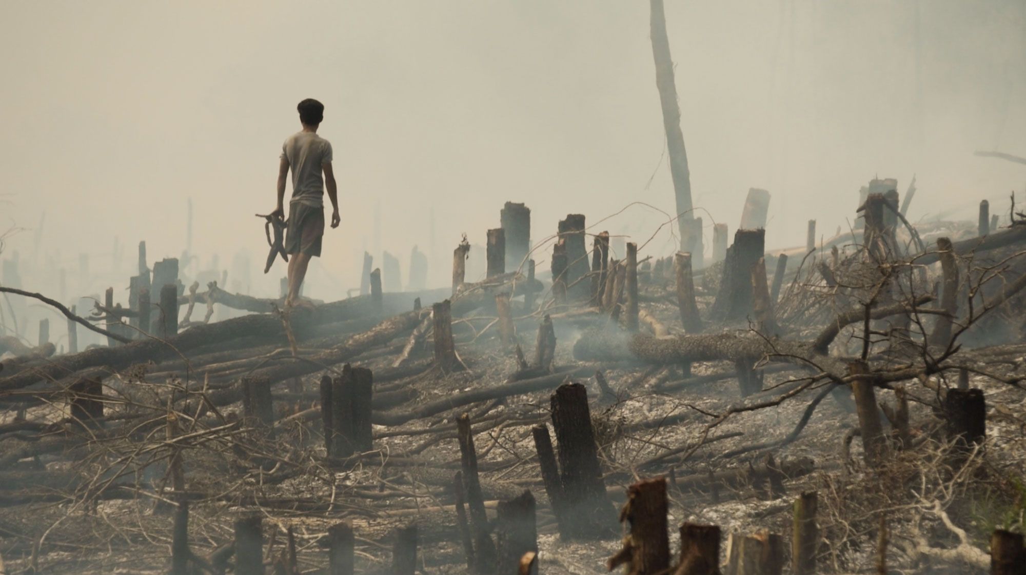 Throughout West Kalimantan swidden or “slash and burn” techniques are used to clear land in preparation for planting corn, spinach, and pumpkins