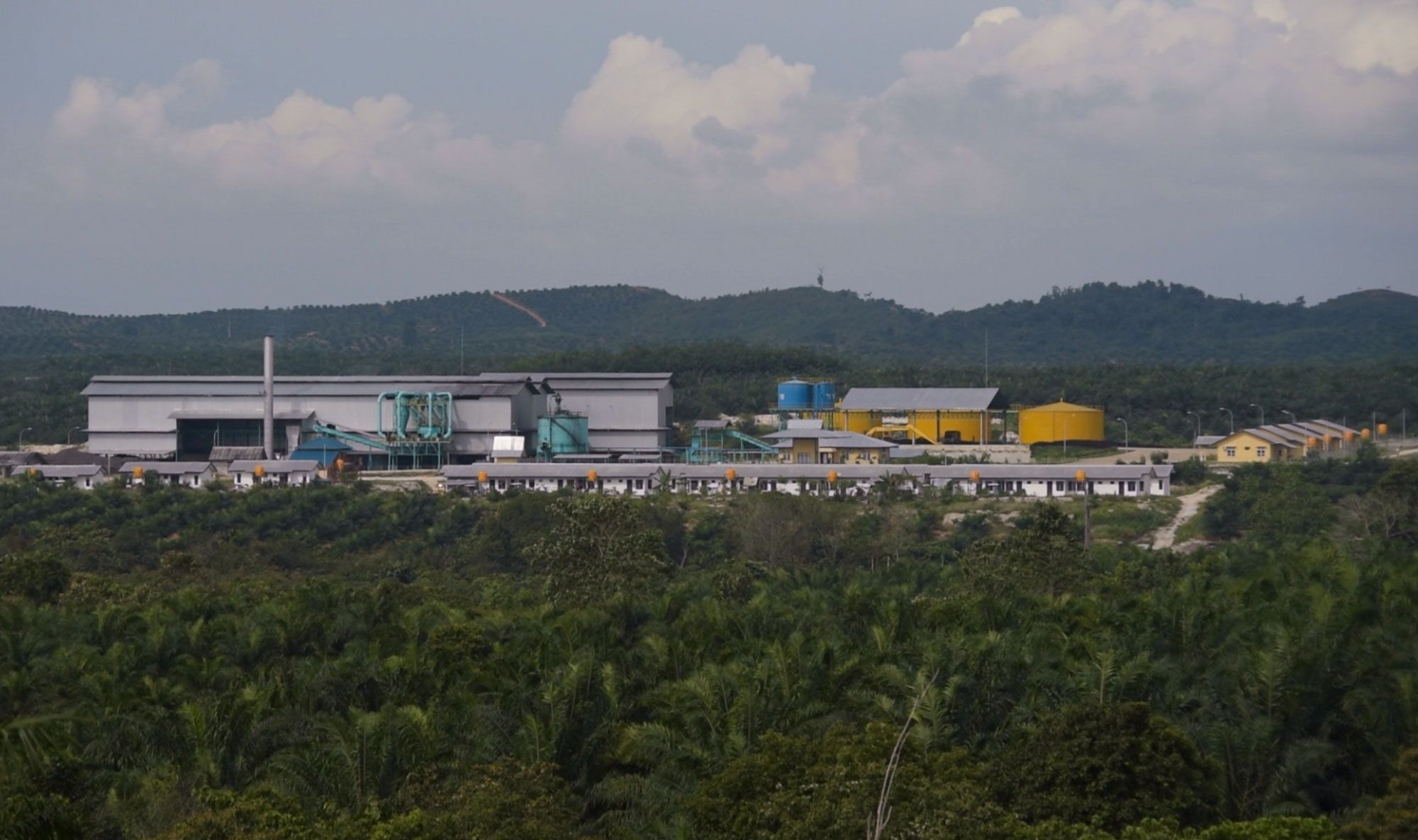 Every acre is utilized at a palm oil plantation in East Kalimantan. Employee housing surrounds a refinery, which occupies the center of a highly manicured stand of oil palms