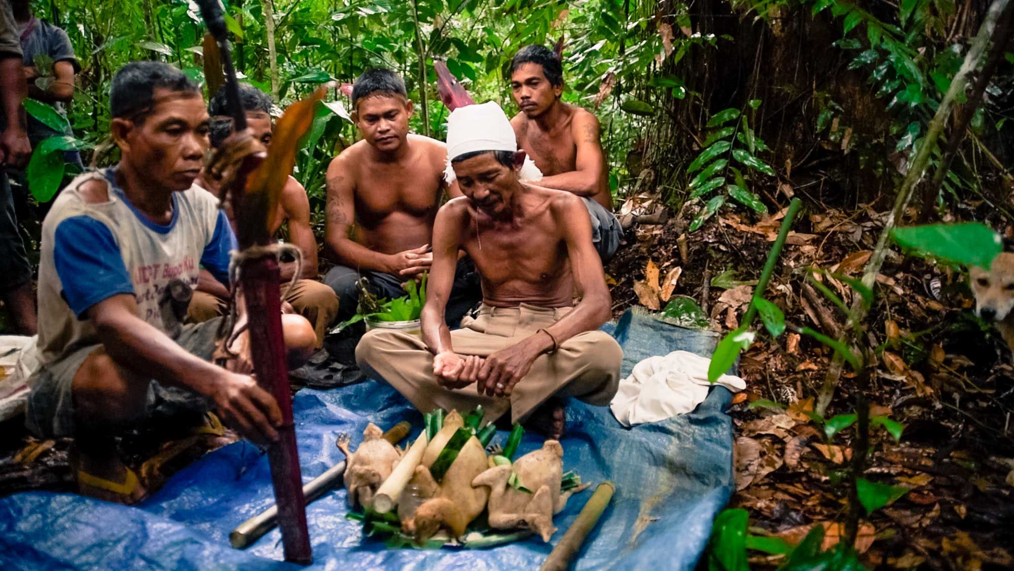 Pa’ Oyo leads a cleansing ceremony at the base of a giant ironwood tree. Living in the village of Pa’ Unga this Parigi Dayak tribe has refused repeated offers from logging, palm oil, and mining companies interested in setting up operations on their land