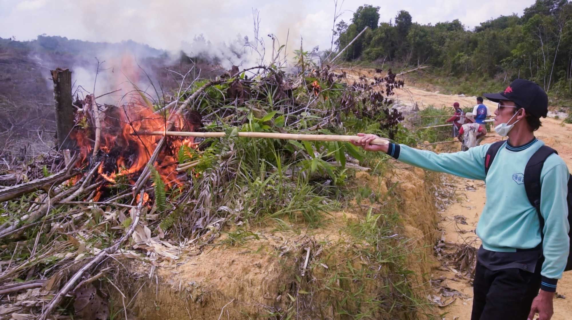 Dayak villagers of Bangsal Behe begin a planned burn on a 5 hectare patch of prepared forest