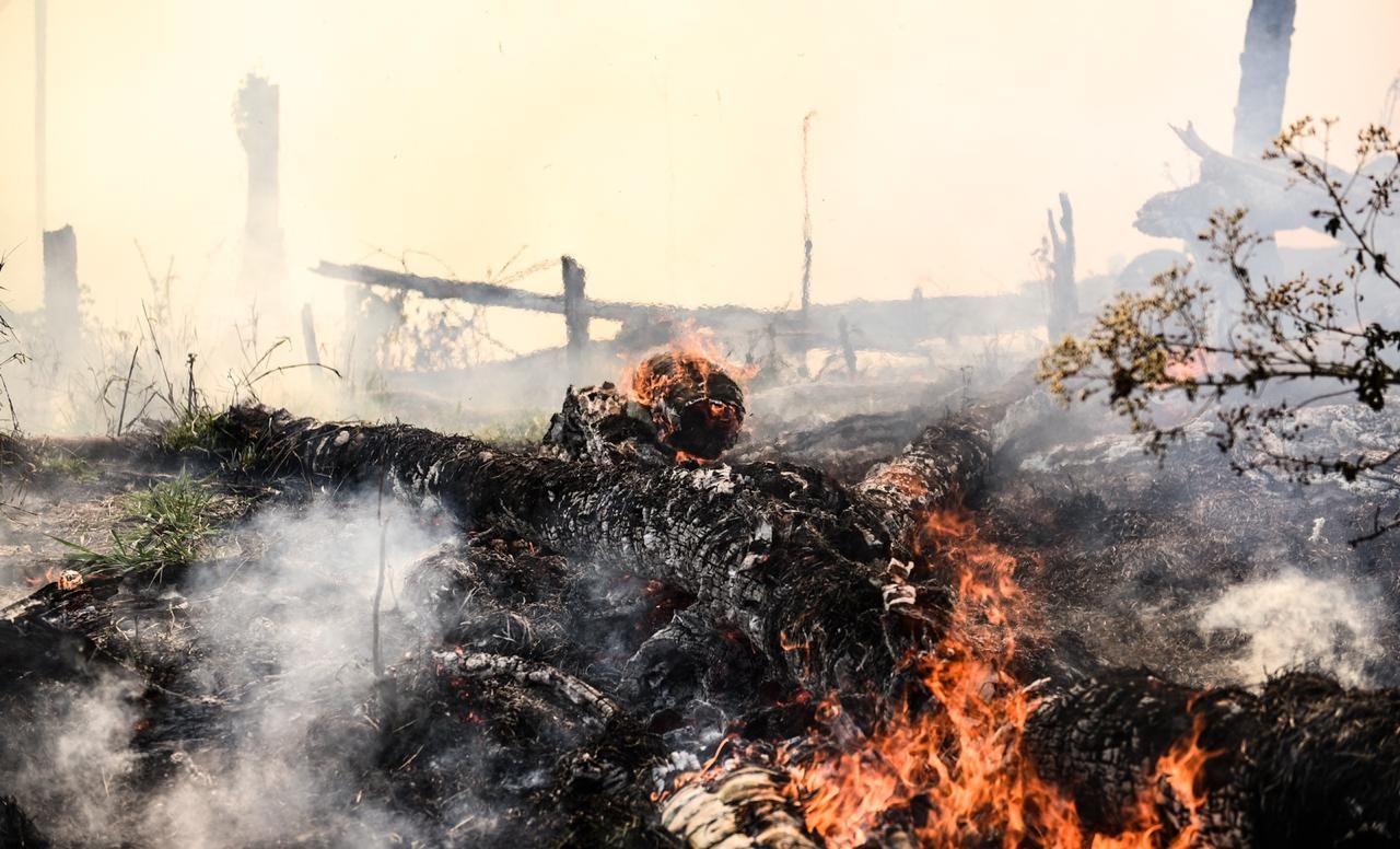 Among the 3 border states between Brazil, Bolivia and Peru, Acre was the champion in the registration of heat spots in 2019; more than 5,000 only between August and September. Image by Jardy Lopes/Notícias da Hora. Brazil, 2019.