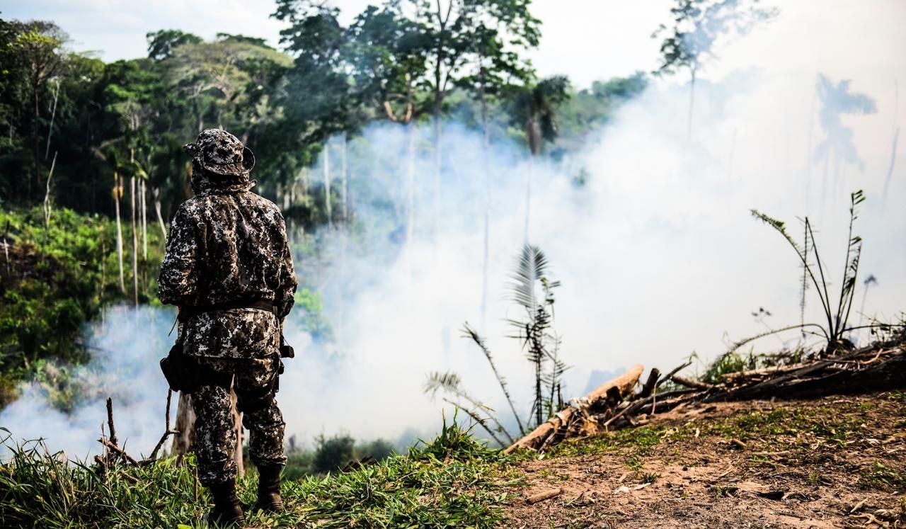 National Force firefighter watches burned to set fire fighting strategy; fire-to-fire technique was one of those used to prevent further damage. Image by Jardy Lopes/Notícias da Hora. Brazil, 2019. 