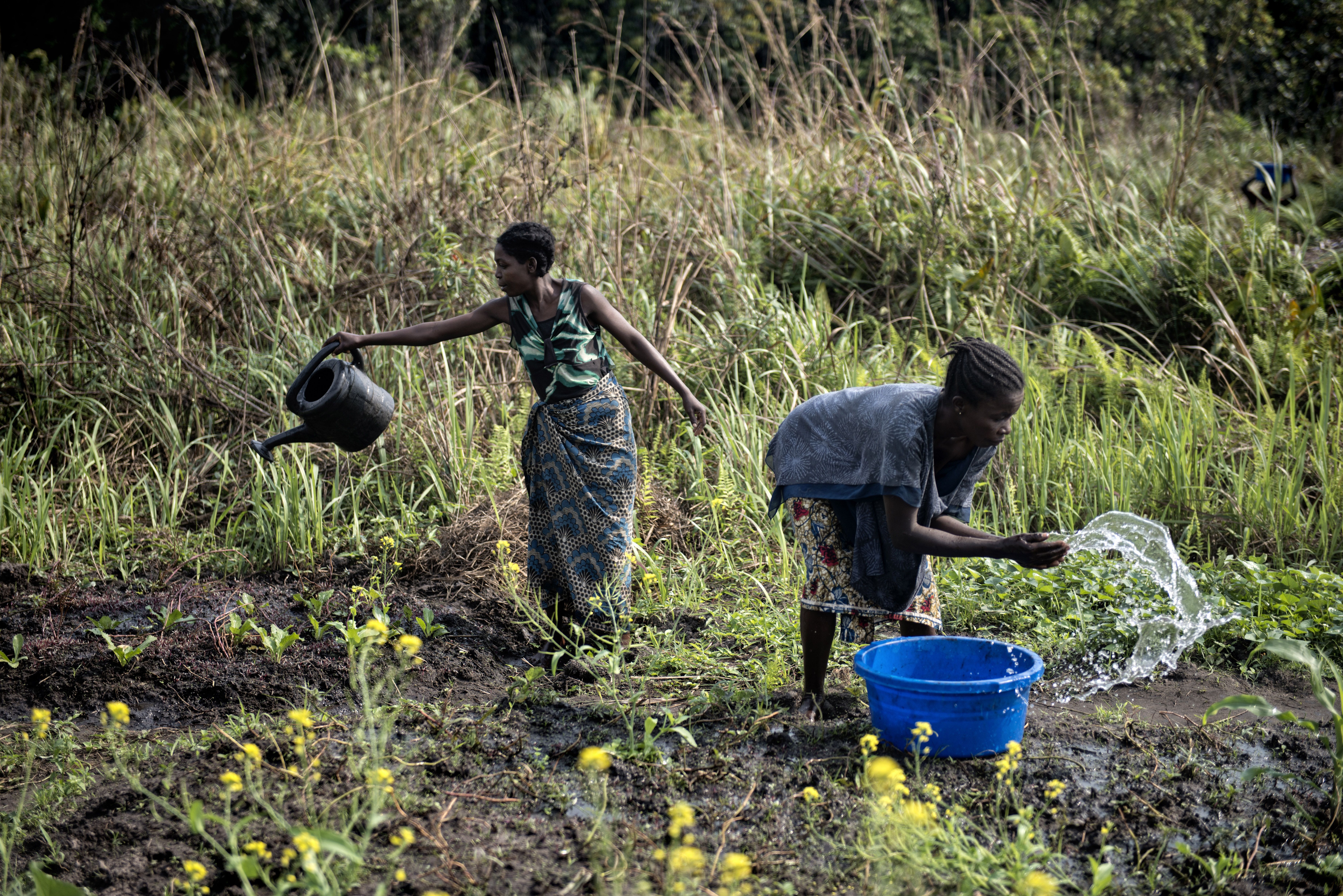 Ngolu Kulemfuka (left) and a friend tend to a small plot of land where they try and grow other types of vegetables. The soil makes it difficult for anything other than cassava to grow. Image by Neil Brandvold DRC, 2016.