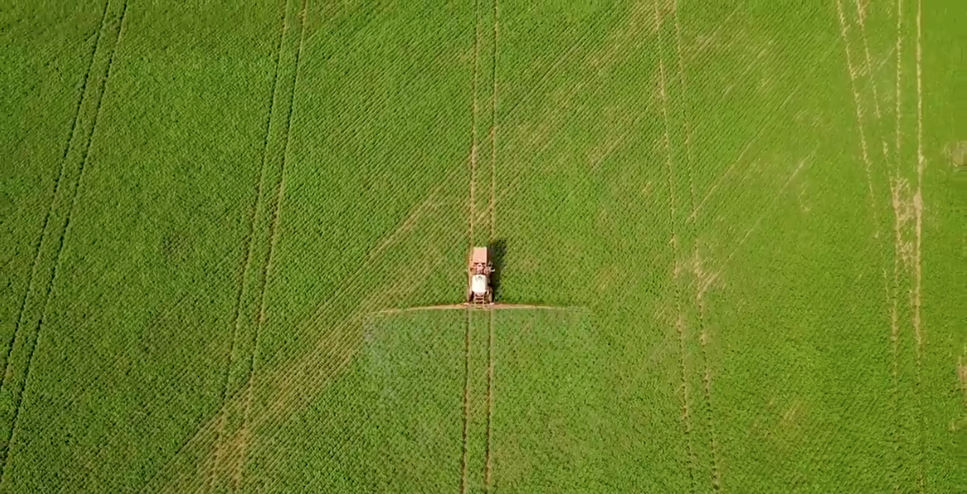 Still from a drone video of a combine driving through soybean fields. Image by Sam Eaton. Brazil, 2018.