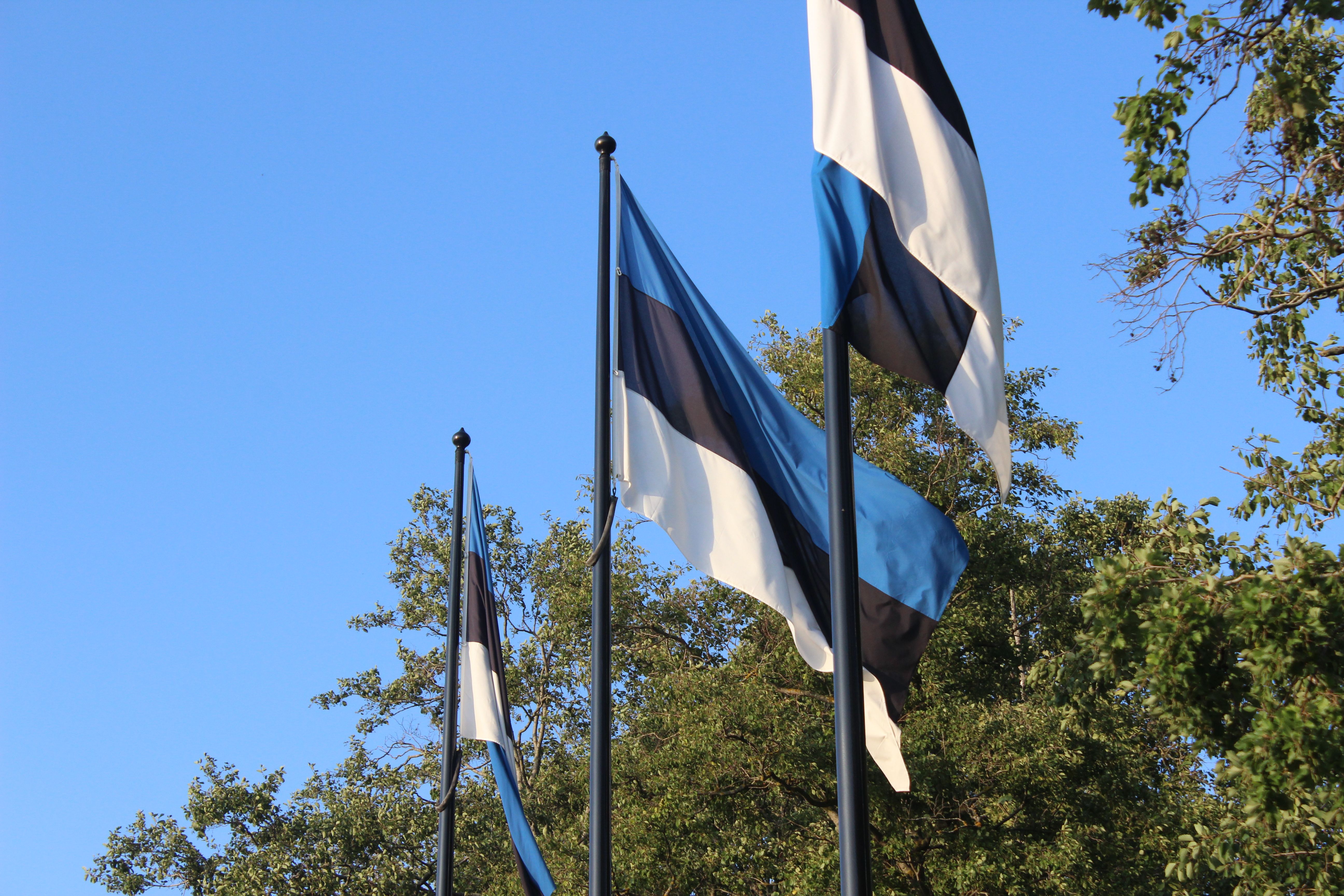 Estonian flags in Tallinn. Image by Hani Zaitoun. Estonia, 2019.