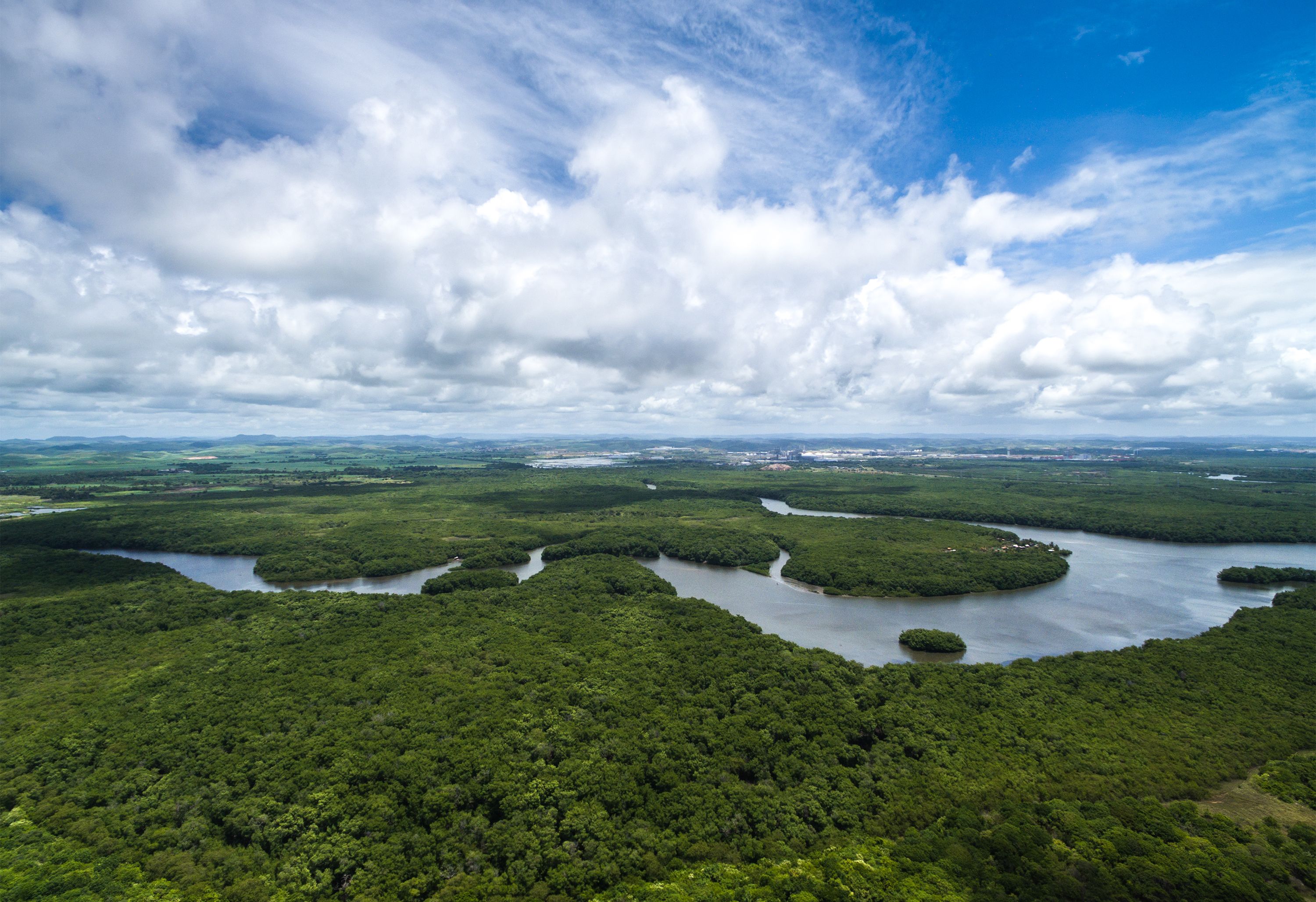 Aerial shot of the Amazon Rainforest in Brazil. Image by Gustavo Frazao/Shutterstock. Brazil, undated.