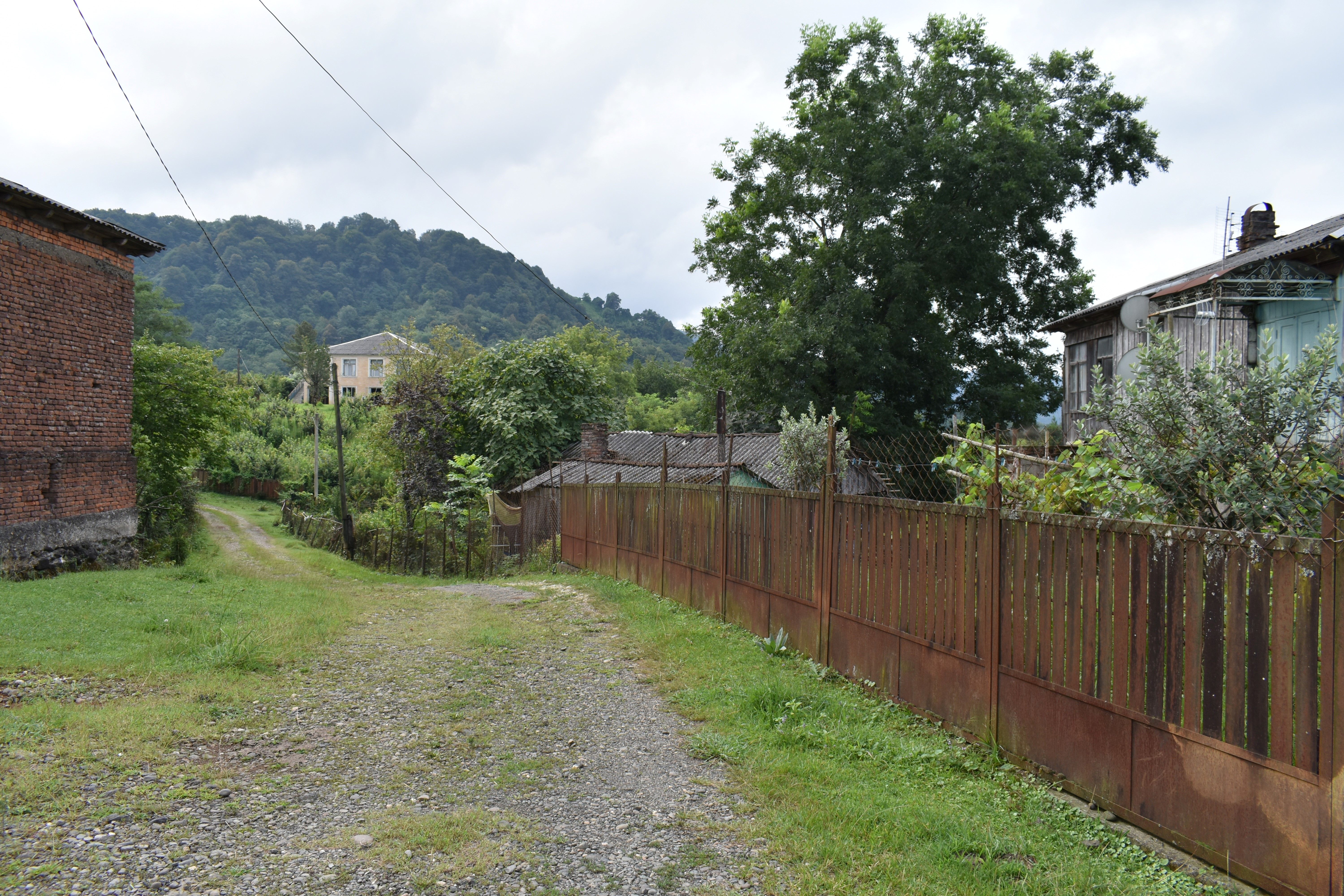 A village road in Guria. Image by Kaitlyn Johnson. Georgia, 2019.