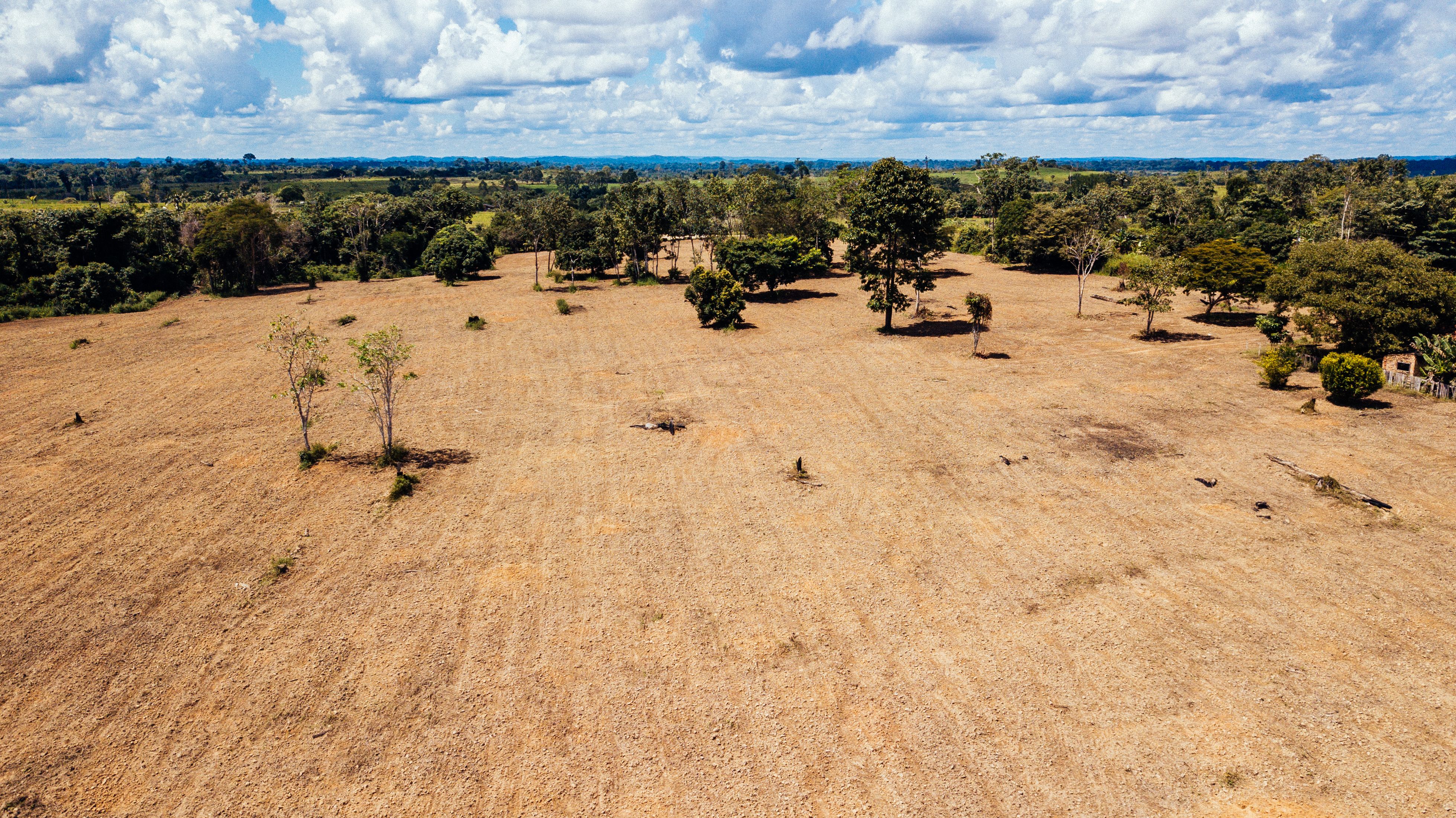 A patch of degraded pasture near Carlos Andretti's farm. Andretti says it’s what his property looked like when he first bought it. Image by Sam Eaton. Brazil, 2018. 