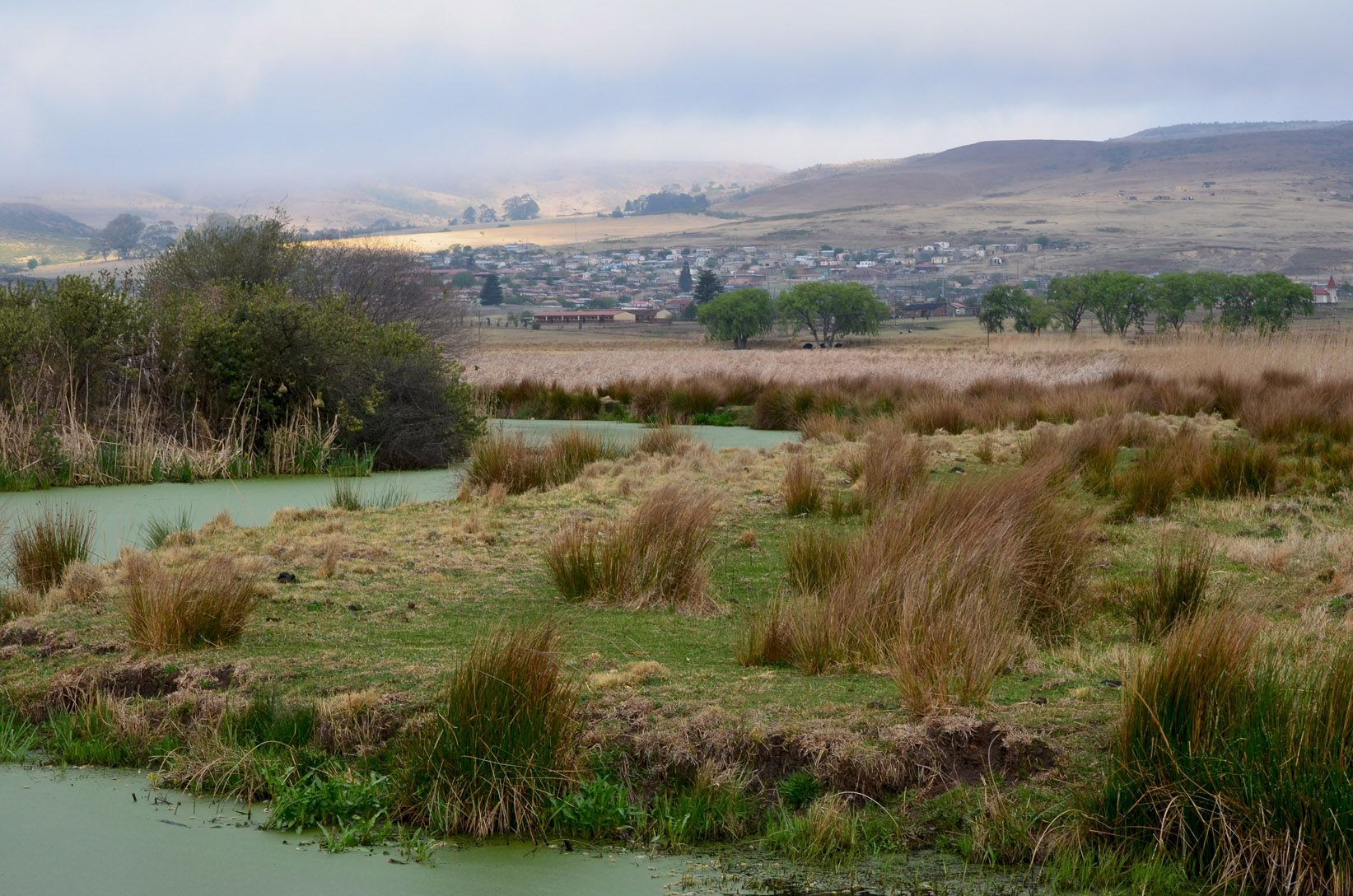 A stream meanders through a wetland in Wakkerstroom, Mpumalanga. The region is a Strategic Water Source Area, the segments of South Africa, Lesotho and Swaziland that make up 8 percent of land area but account for 50 percent of water supply. Image by Mark Olalde. South Africa, 2016. 