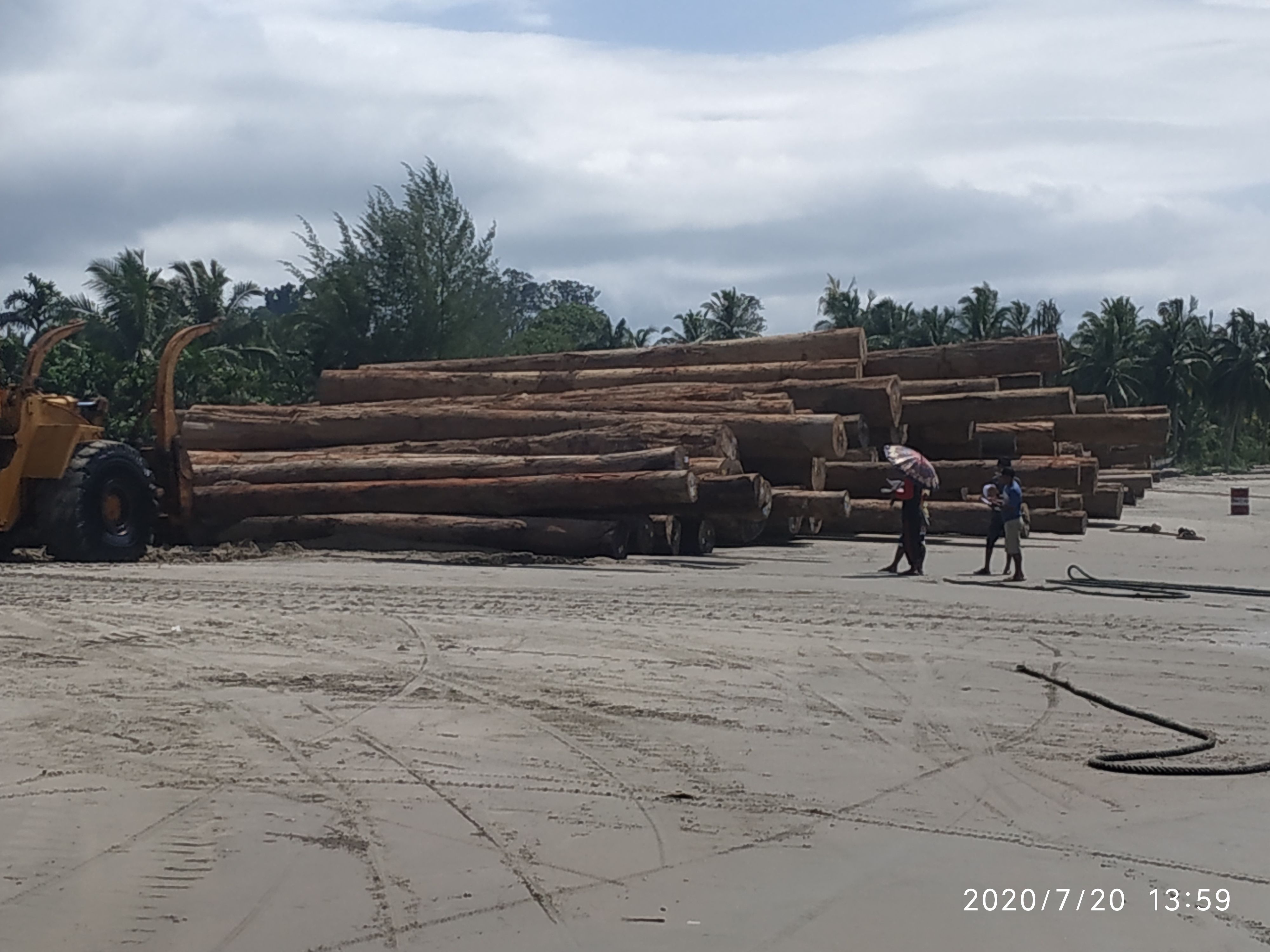 The loading activity of HPH logs from one of the companies on Tinitit Beach, Siberut Island, Mentawai Islands, West Sumatra last July. Image by Febrianti. Indonesia, 2020.
