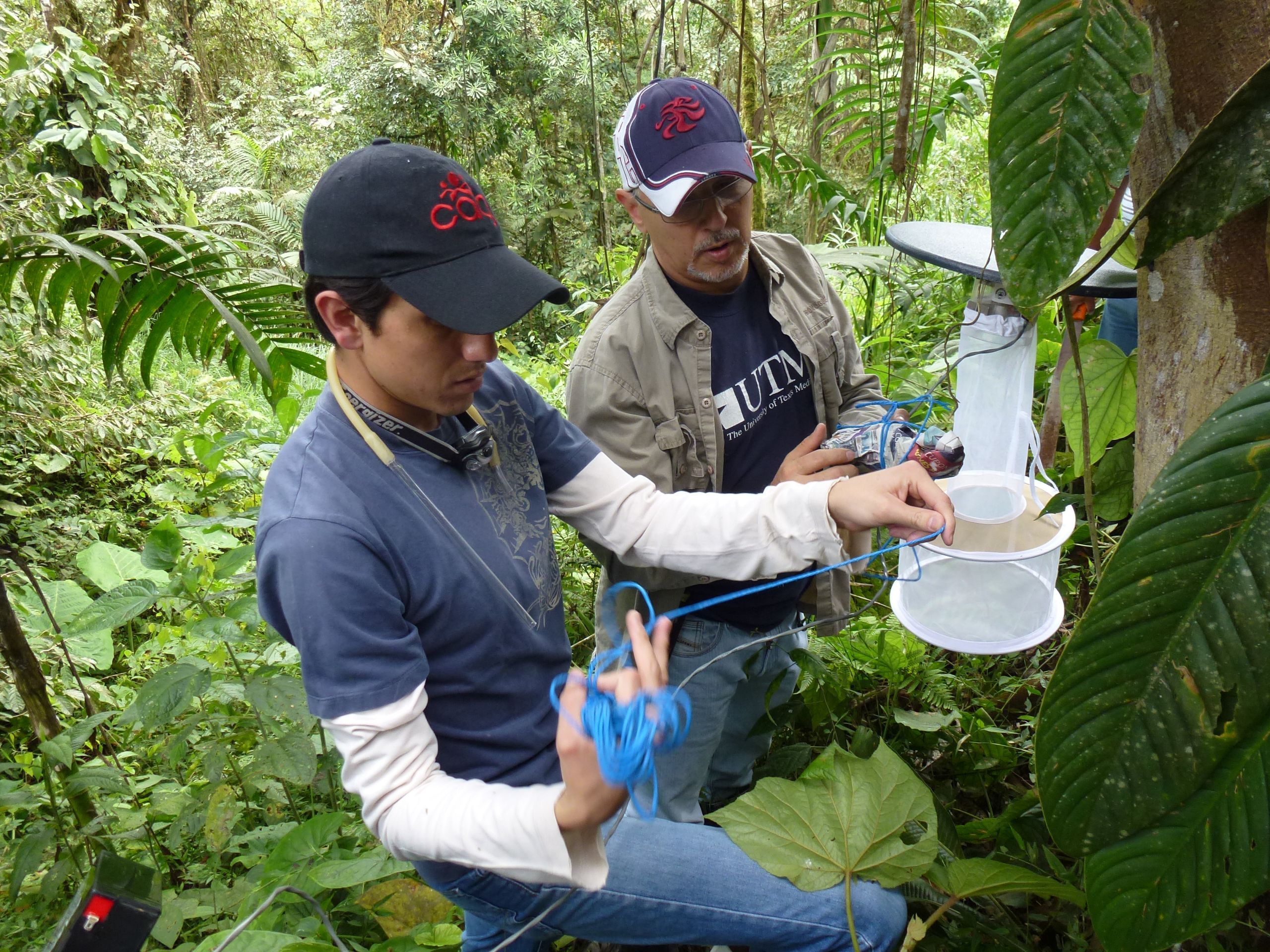 Juan Carlos setting up traps to collect mosquitoes and identify potential disease vectors in Ecuador, within the Amazon. Image courtesy of Juan Carlos Navarro. Ecuador, undated.