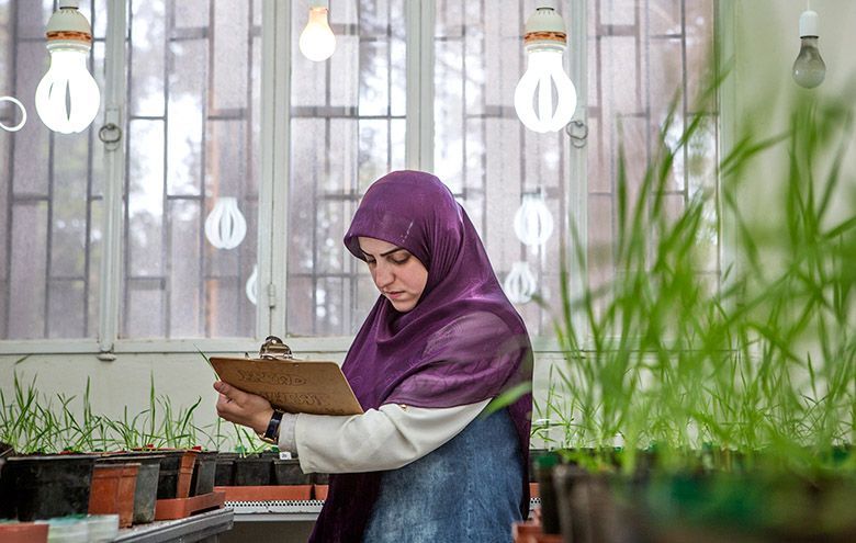A technician records data on seeds germinated in a lab at ICARDA's facility in Lebanon. Image by Jacob Russell. Lebanon, 2016.