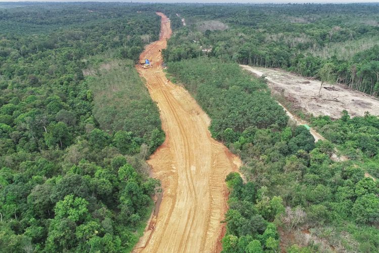 PT Marga Bara Jaya’s new coal haul road. Image by Erwan Hermawan/TEMPO. Indonesia, 19 June 2020.