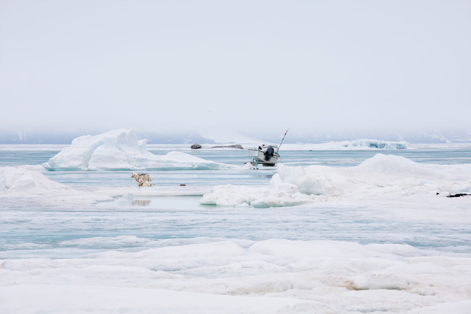 As well as for hunting, Qaanaaq’s residents must brave the sea ice to get potable water. During the summer months, they get their water from a nearby river. But during winter it is simply too cold for the river to flow. Instead, they collect icebergs, bringing them to a special facility where the ice is melted and distributed to all of Qaanaaq’s houses by a water tanker.

This means that even the simple task of collecting fresh water has become more dangerous. Image by Anna Filipova. Greenland, 2018.