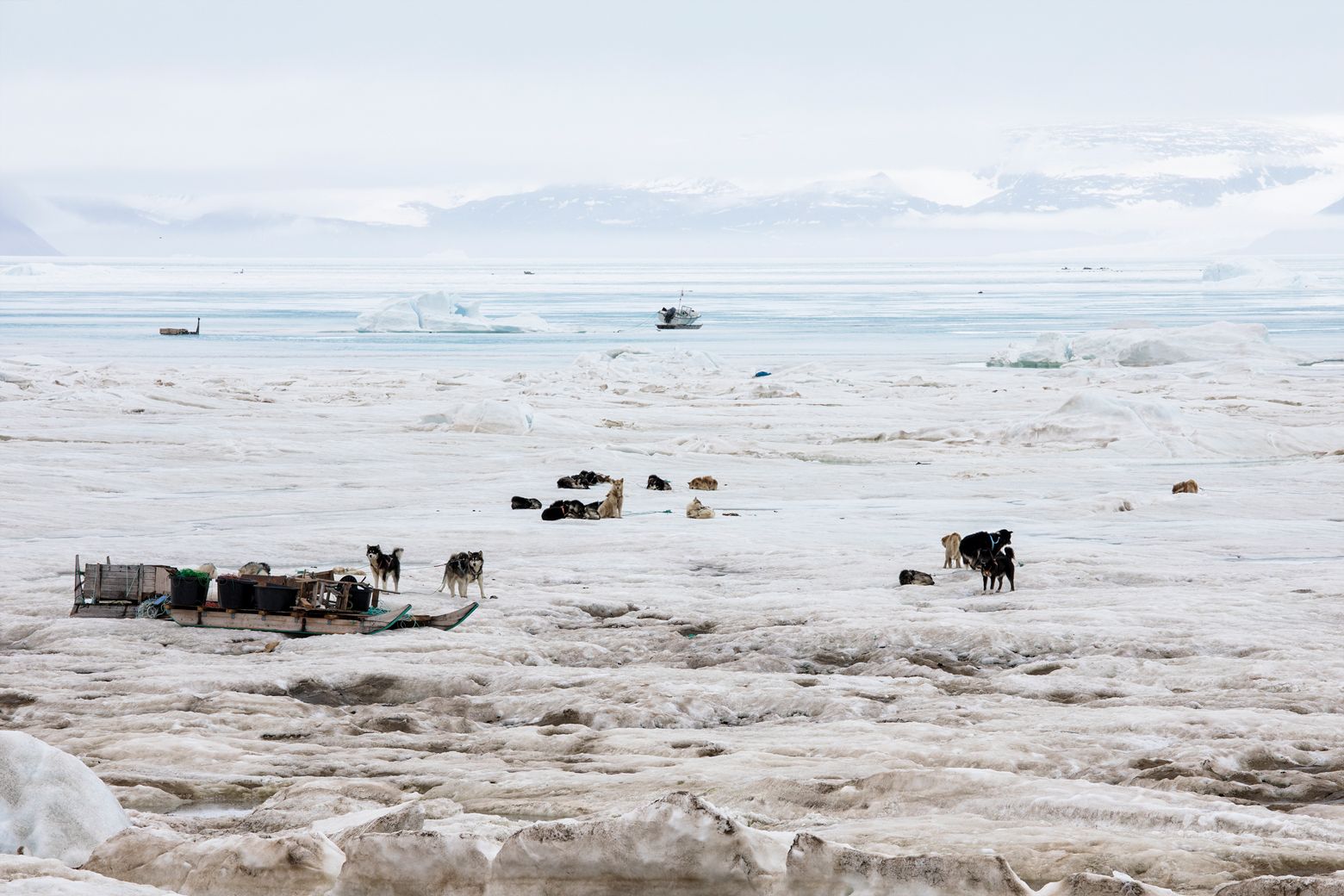 Imports arrive only twice a year, and Qaanaaq is the one of the last towns in Greenland where people survive by hunting on sea ice – which is rapidly disappearing. Image by Anna Filipova. Greenland, 2018.
