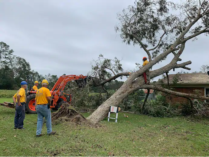 A volunteer disaster relief team with the Florida Baptist Convention removes a downed tree from a home in Silverhill, Ala., on Sept. 22, following Hurricane Sally. Image by Bob Smietana / Religion News Service. United States, 2020.