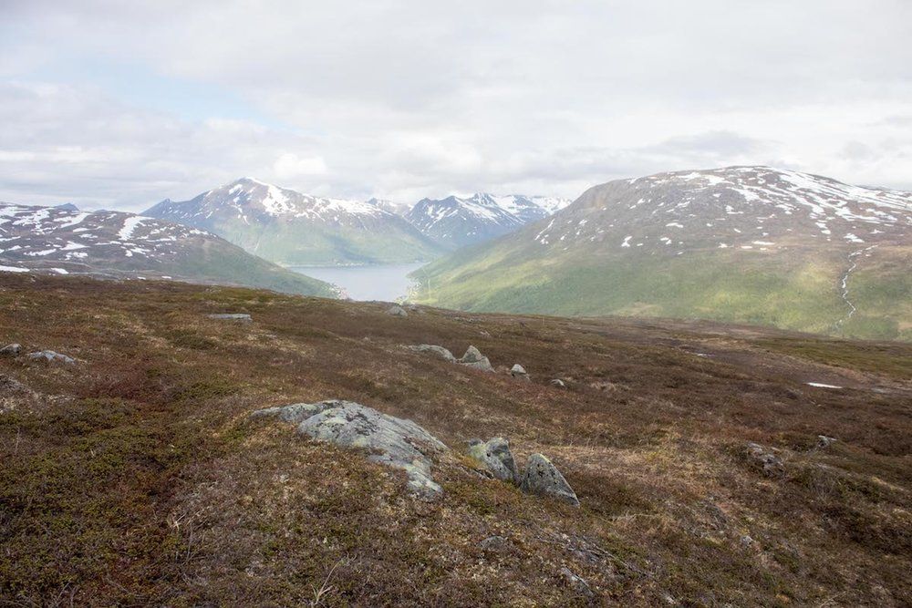 The Aleksandersen family’s reindeer herding land. Image by Amy Martin. Norway, 2017.