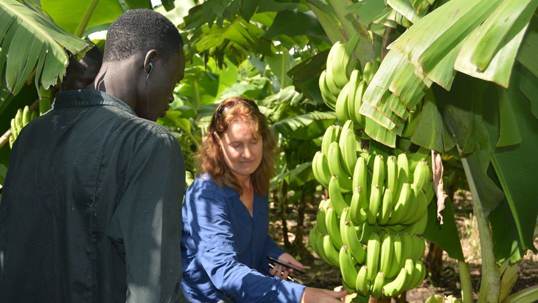 Jo-Anne Dorrington (R) Green Horizon project’s Chief Operations Officer (COO) in a banana plantation at the New Land Farm. Image by David Mono Danga. South Sudan, undated.