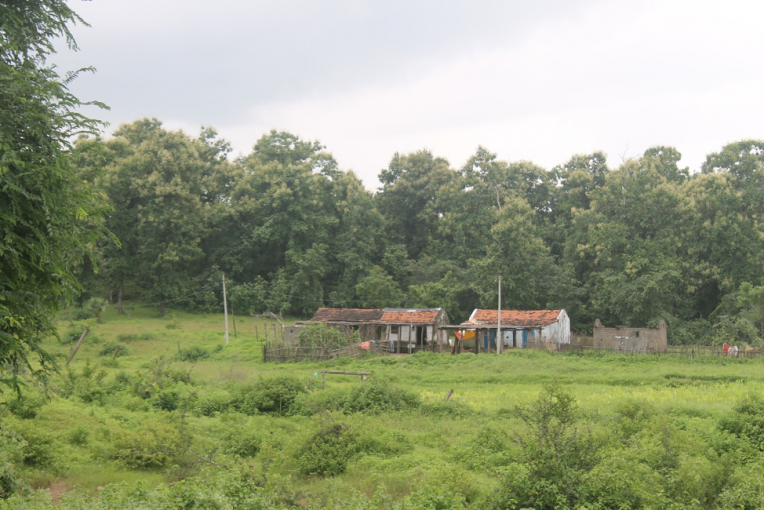 A house in the core zone of Kawal Tiger Reserve, in the state of Telangana. Image by Vandana Menon. India, 2019.