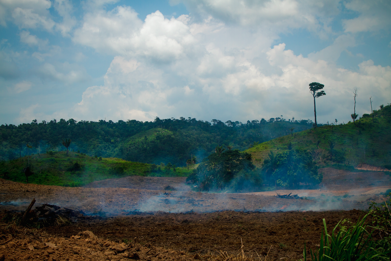 Deforestation on the livestock farm in the municipality of São Félix do Xingu, in Pará. Image by Marcio Isensee/Shutterstock. Brazil, date unknown.