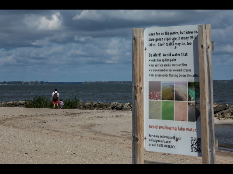 The beaches at Maumee Bay State Park in Oregon, Ohio on Sept. 23, 2019. The water was closed to swimmers due to presence of toxic algae blooms. Image by Zbigniew Bzdak / Chicago Tribune. United States, 2019.