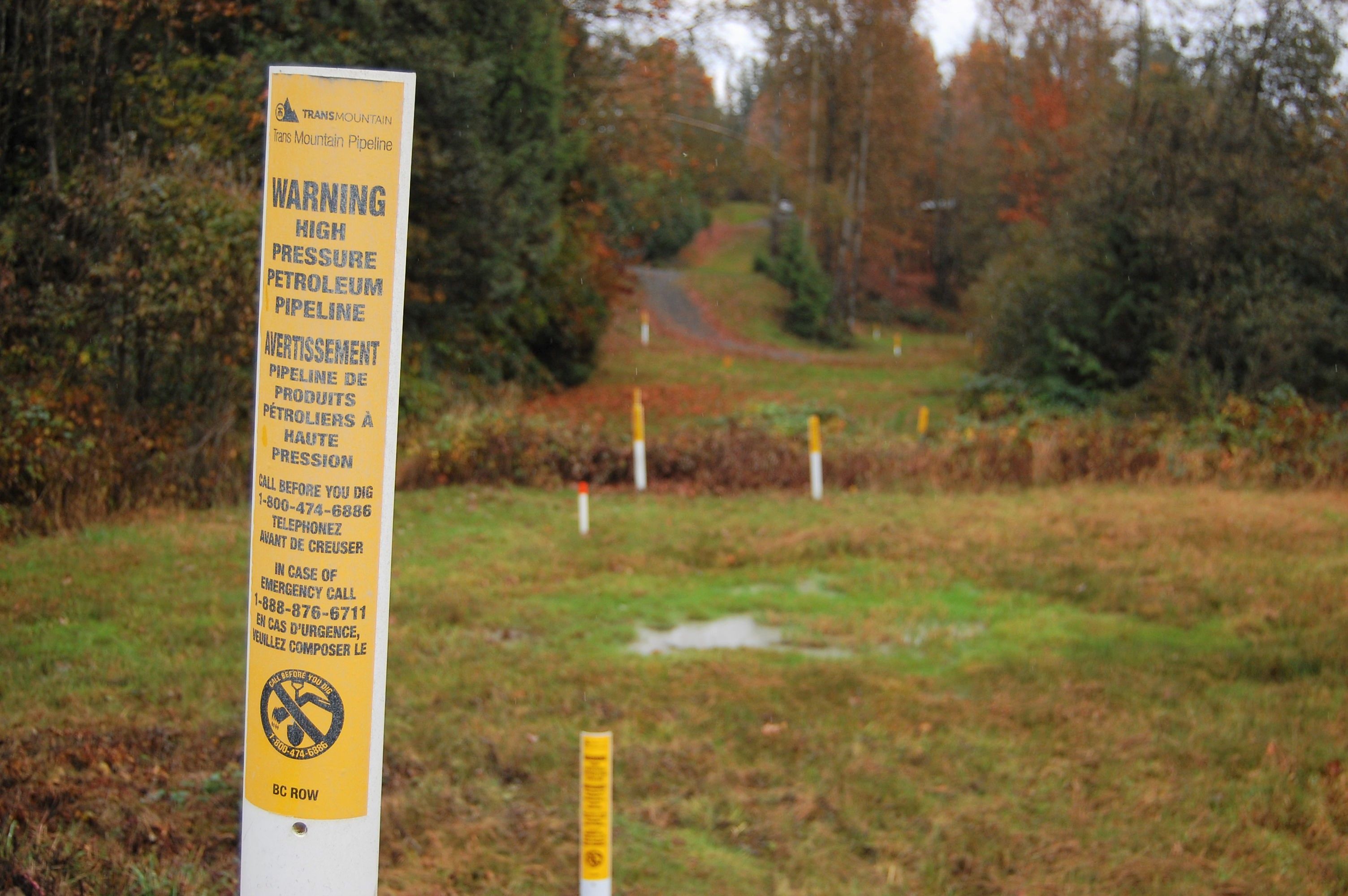 Yellow signs mark the path of the Trans Mountain pipeline. Image by Megan O'Toole. Canada, 2019.