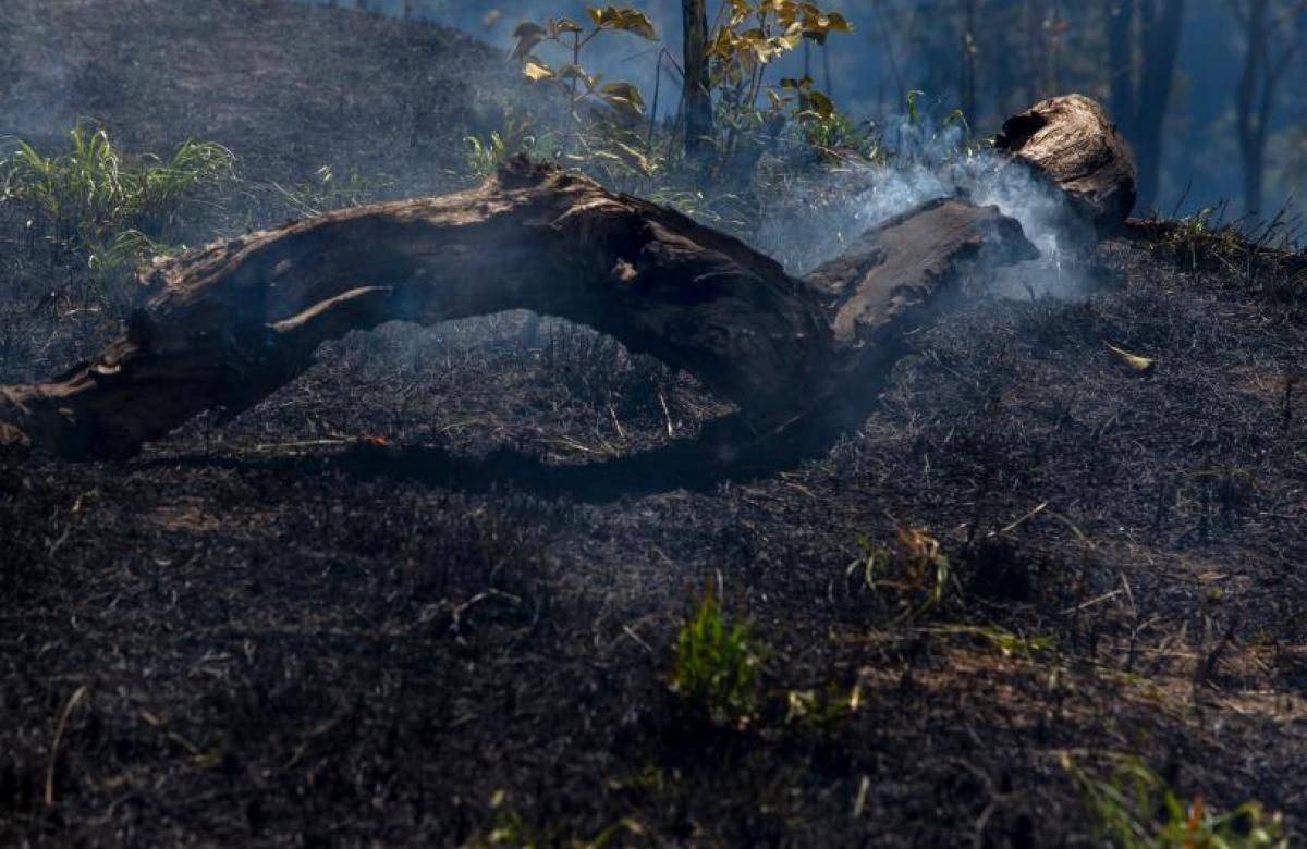 Pocone, Mato Grosso, Brazil: Flames raises from a trunk in a farm at Pocone village. Image by Antonio Scorza / Shutterstock. Brazil, 2020.