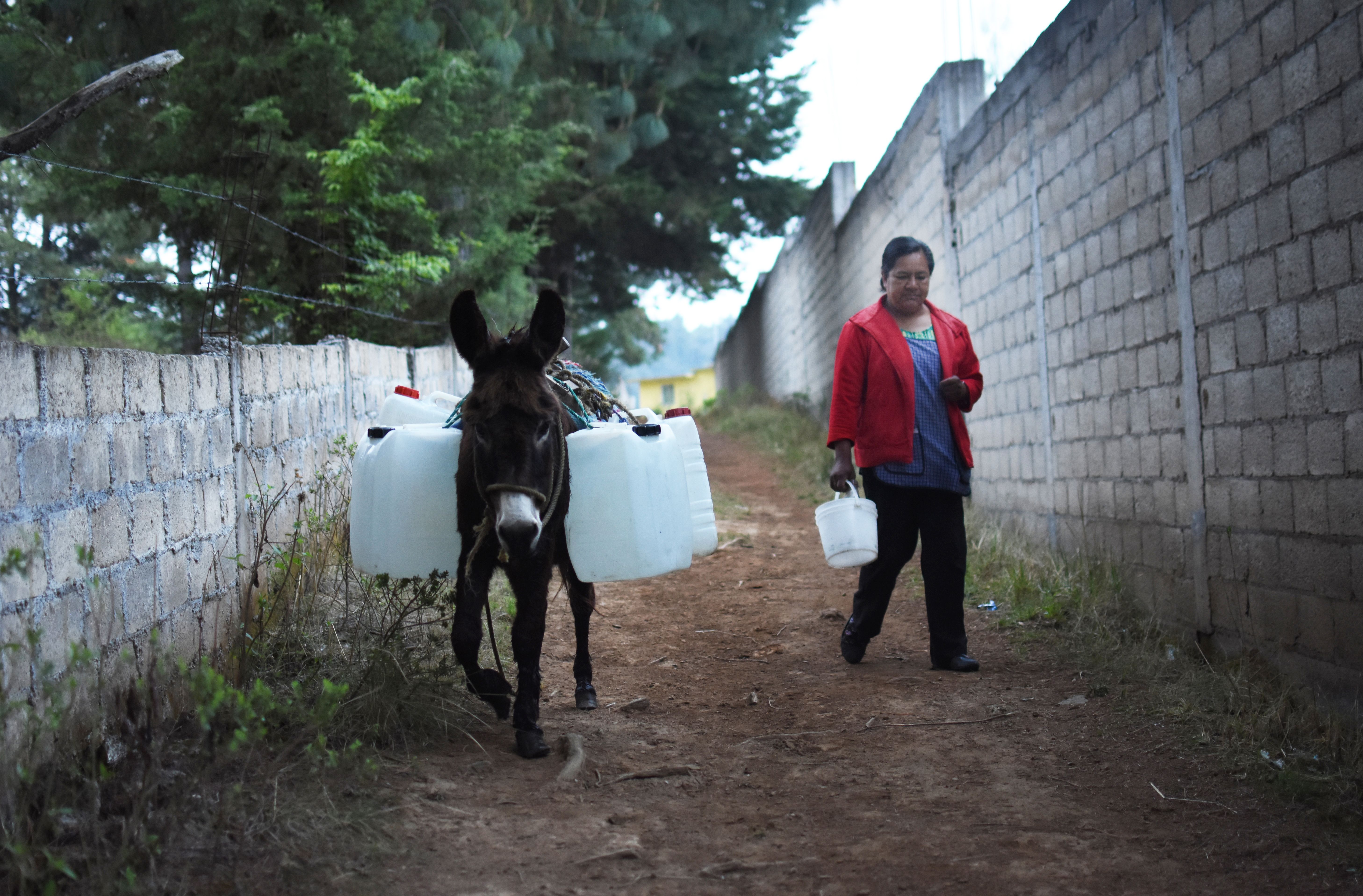 Maria Isabel takes a donkey to collect water every morning. She wakes up at 6:30 am to gather water, make breakfast and then walk her daughter to school. “If I do not go and get water, I cannot bathe, I cannot drink, I cannot use water to make food,” she said. Image by Meg Vatterott. Mexico, 2018.