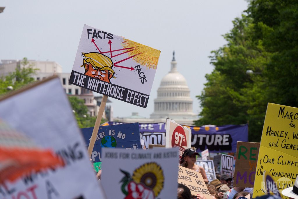 2017 DC Climate March. Image by Mark Dixon. Washington DC, 2017. (CC BY 2.0)