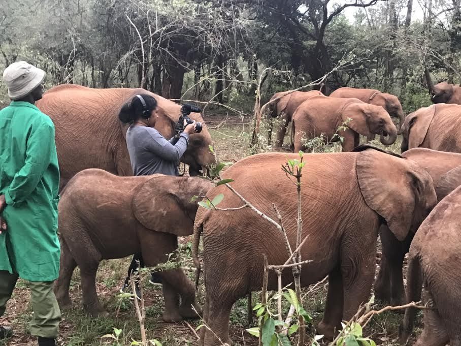 Janelle Richards shooting video of elephants at the David Sheldrick Wildlife Trust nursery in Nairobi, Kenya. Image by Thomas Gathoni. Kenya, 2017.