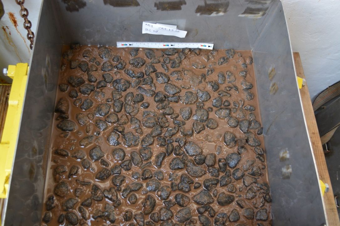 This box-core sample of the seabed is full of polymetallic nodules. Image by Craig Smith.