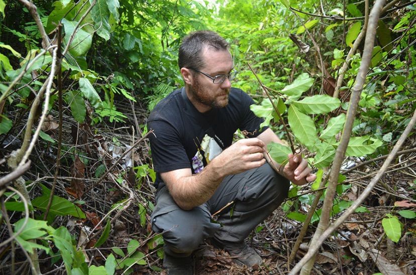 Australian biologist Andy Marshall identifies a plant in the Magombera Forest in sourthern Tanzania, where he is trying to save trees to help curb global warming. Image by Daniel Grossman. Tanzania, 2017.