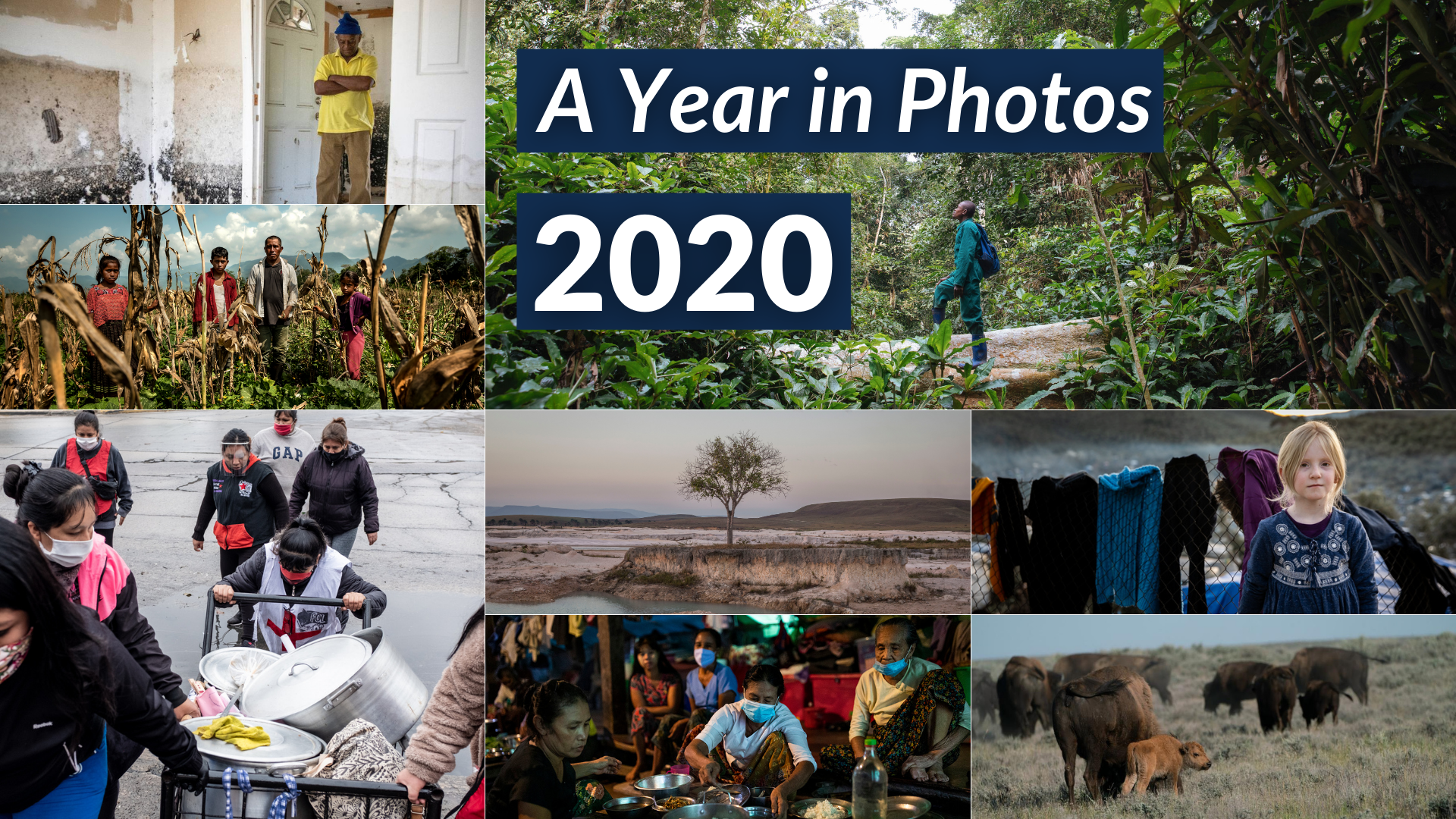 2020: A Year in Photos