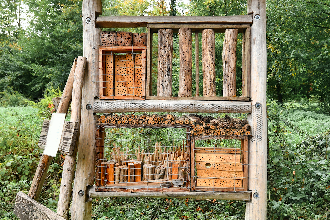 Insect house hotel made out of natural wood material created to provide shelter for insects to prevent their extinction. Image by Shutterstock. 