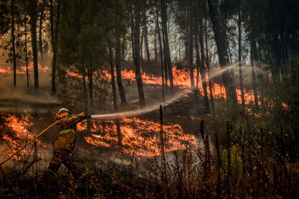 A firefighter tries to extinguish a wildfire in the village of Casais de Sao Bento in Macao in central Portugal. Image by Patricia De Melo/ AFP via Getty Images. Portugal, 2017.