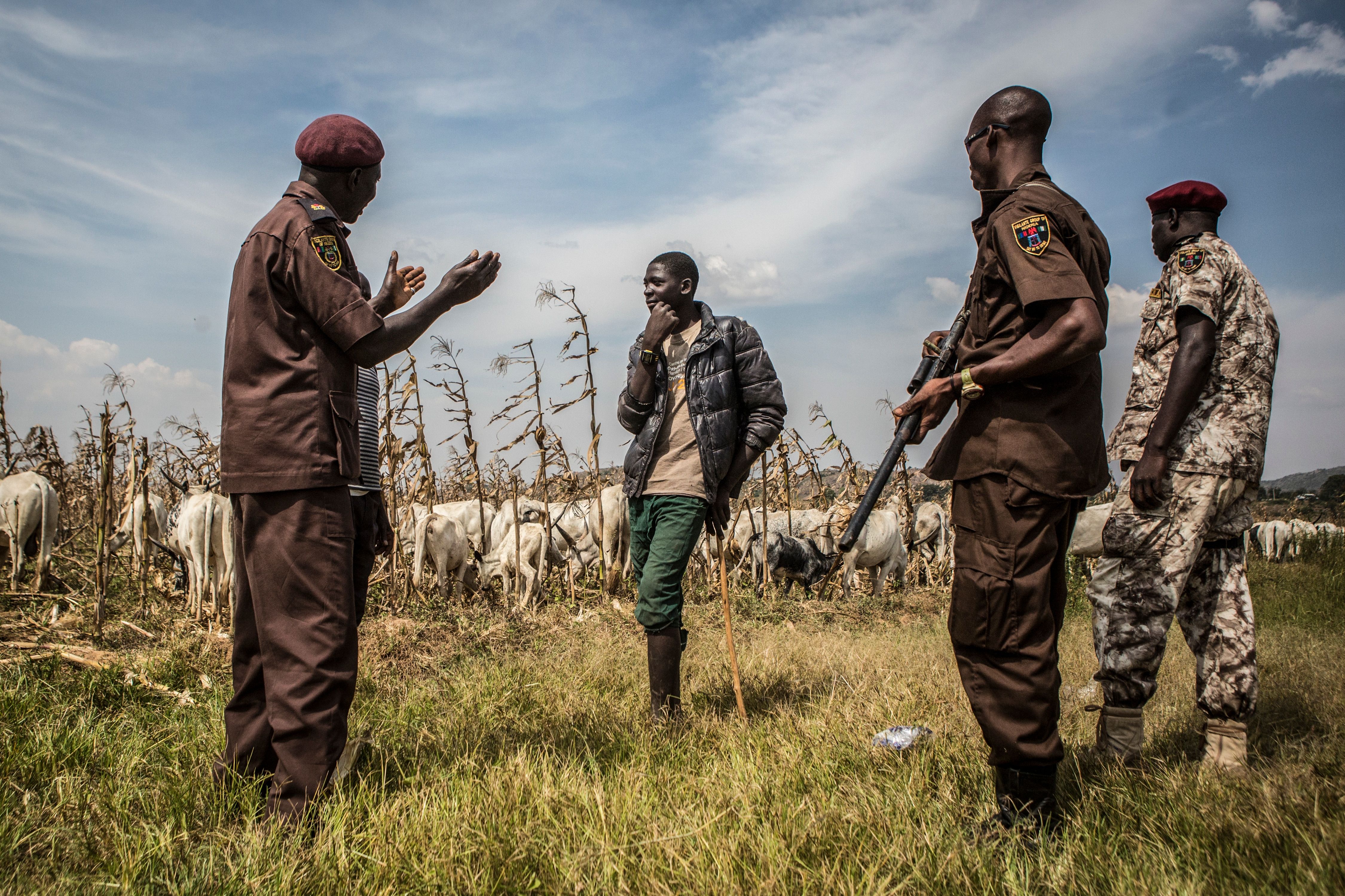 Members of the Barkin Ladi division of the Vigilante Groups of Nigeria urge a young herder in October to keep his animals off farmland with crops in Barkin Ladi, Nigeria. Vigilantes here are volunteer peacekeepers. Image by Jane Hahn. Nigeria, 2018.
