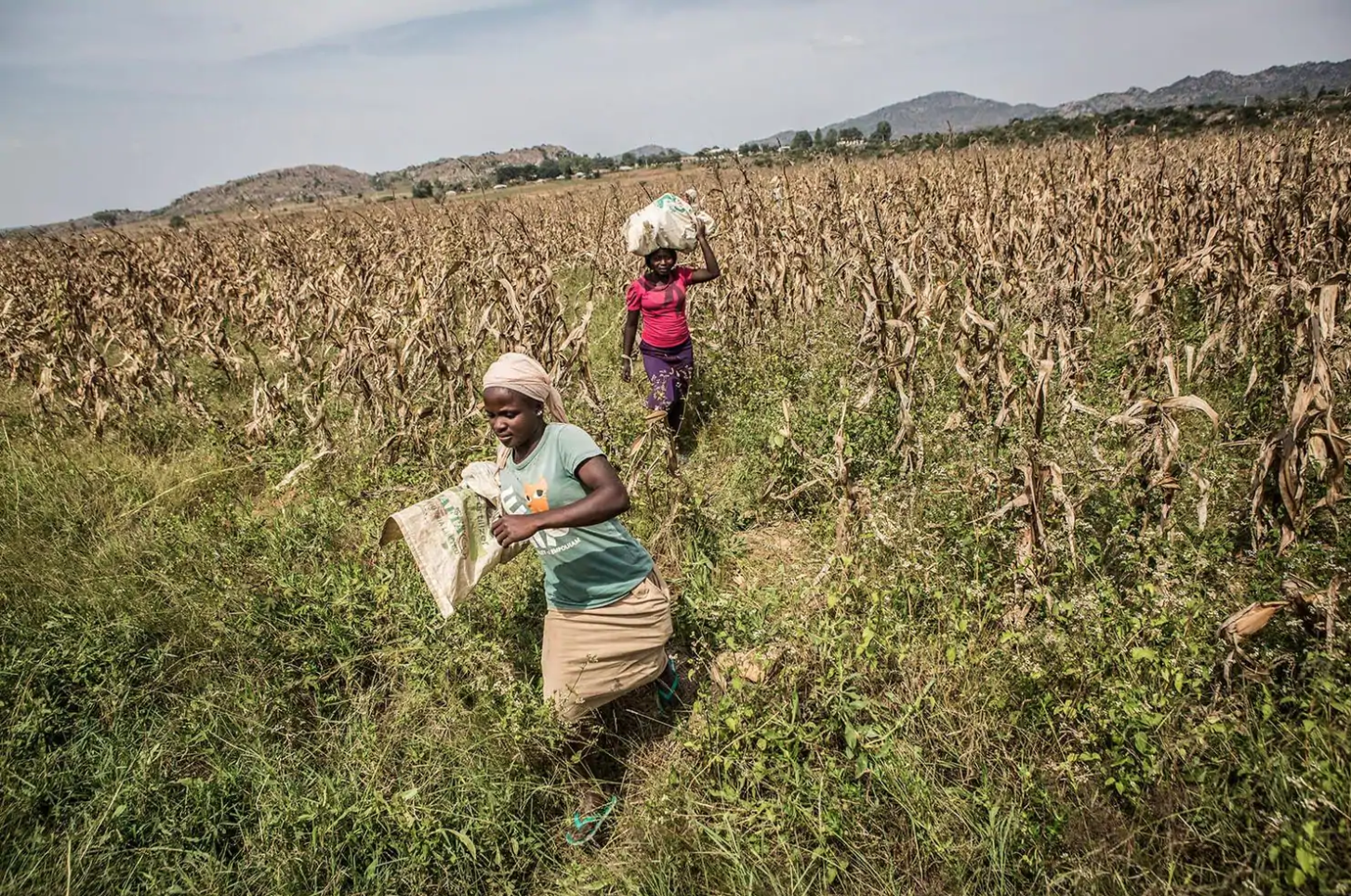 Farmers Cynthia Thomas, 15, and Rebecca Sylvanos, 31, carry bags of maize to their car in Barkin Ladi on Oct. 24. Image by Jane Hahn. Nigeria, 2018.